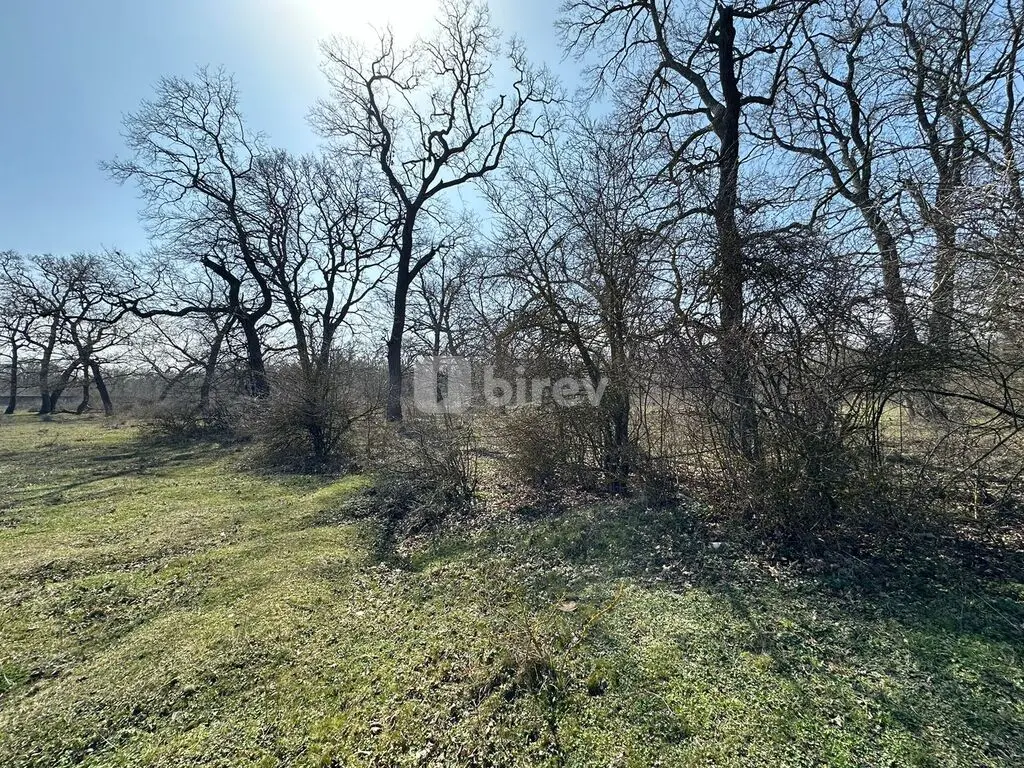 350 sot torpaq, Nabran, Nabran qəs., Xaçmaz rayonu — şəkil 26