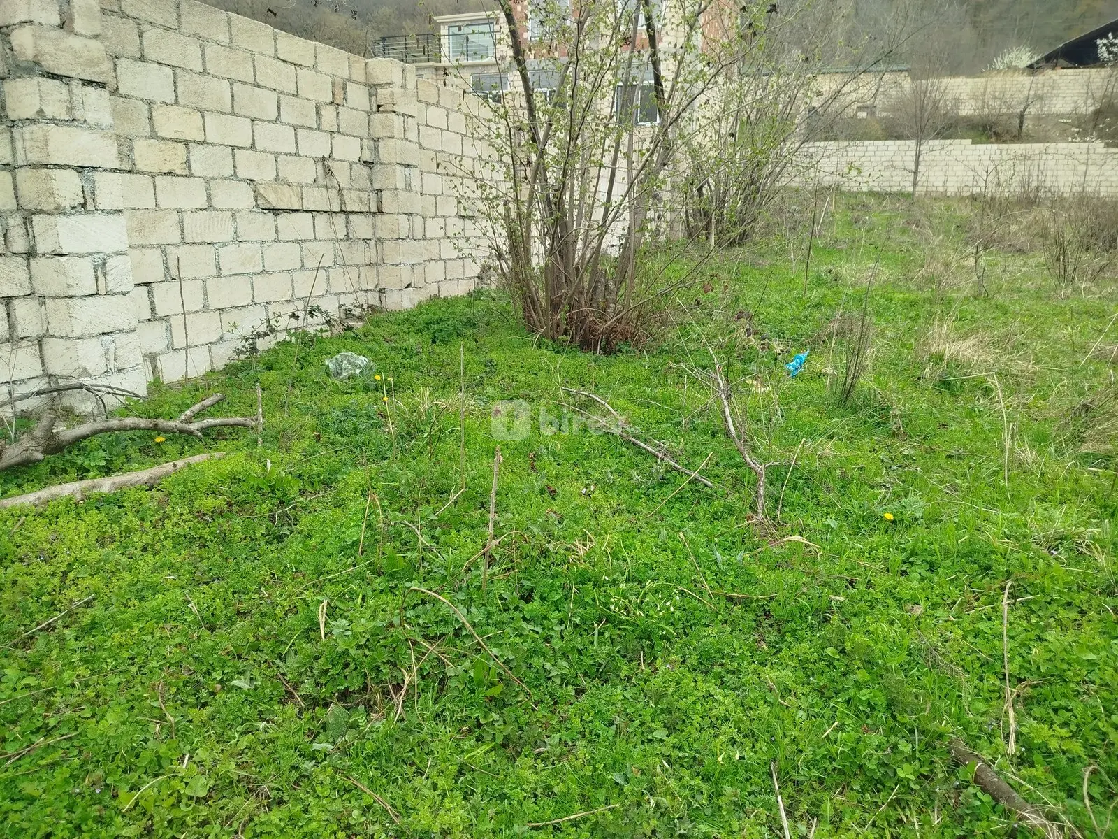16 sot torpaq, Quba rayonu, Quba Qələdüz kəndi — şəkil 3