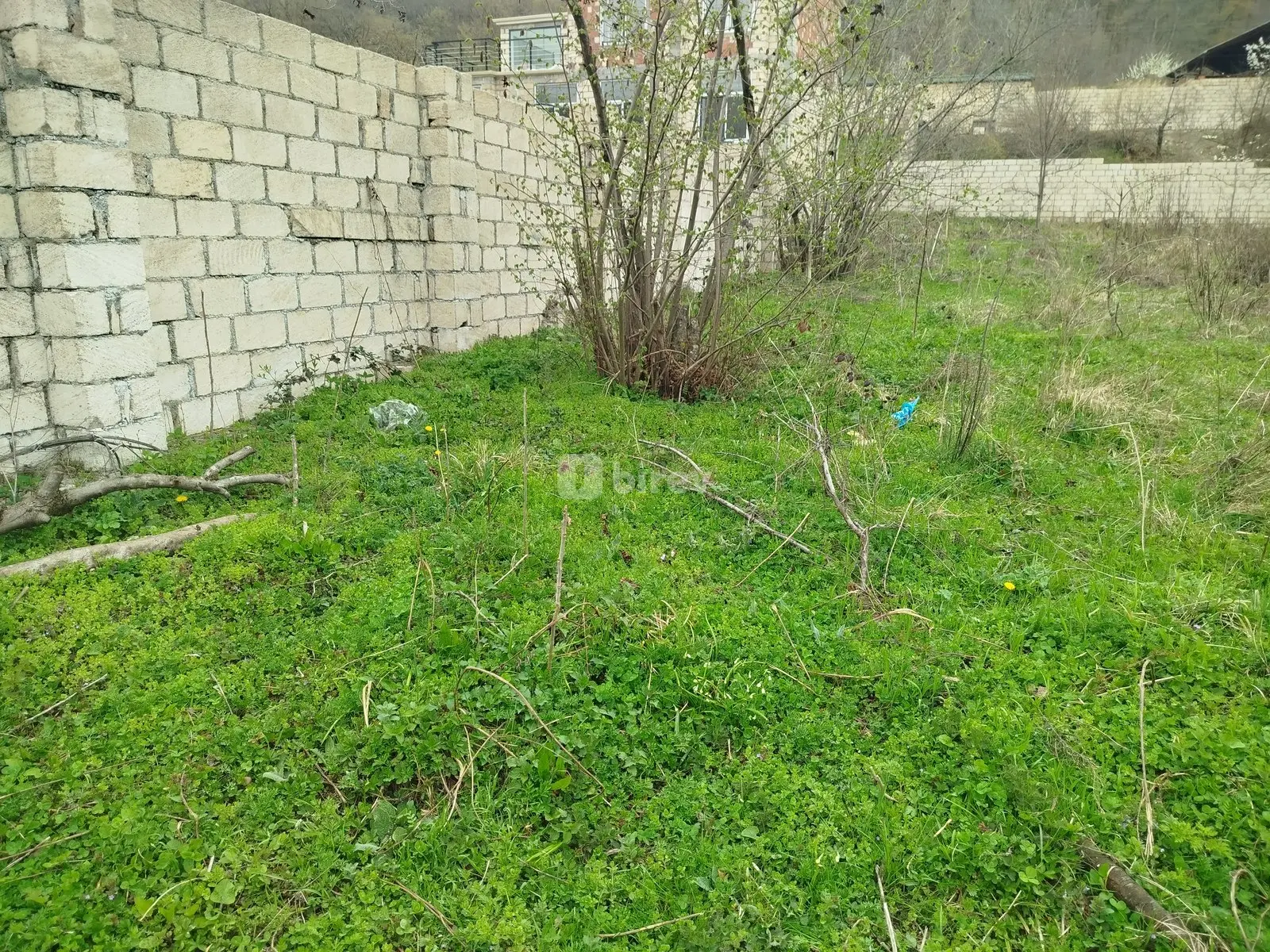 16 sot torpaq, Quba rayonu, Quba Qələdüz kəndi — şəkil 8