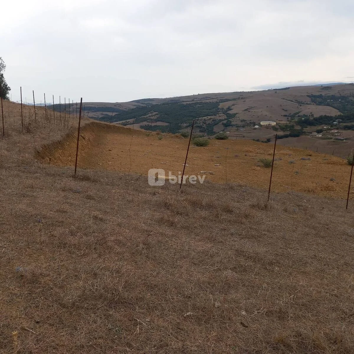 3 sot torpaq, Yardımlı rayonu, M. Ə. Sabir küçəsi — şəkil 4