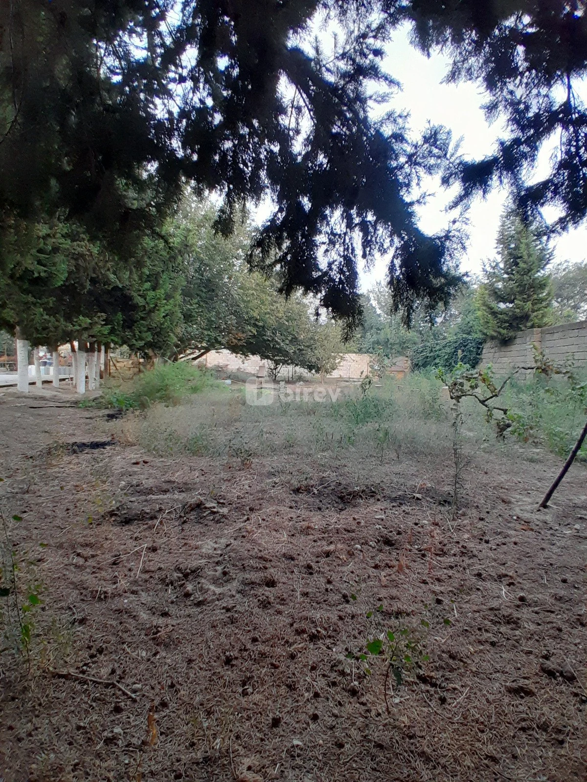 4 otaqlı həyət evi, Novxanı q., Novxanı qəsəbəsi, Abşeron rayonu — şəkil 3