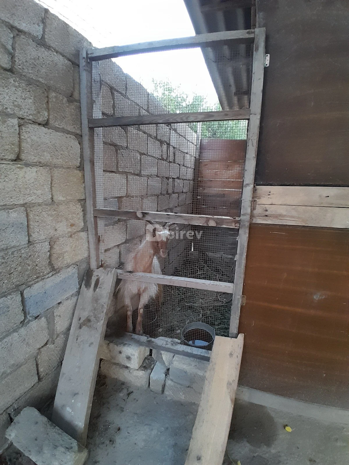 4 otaqlı həyət evi, Novxanı q., Novxanı qəsəbəsi, Abşeron rayonu — şəkil 10