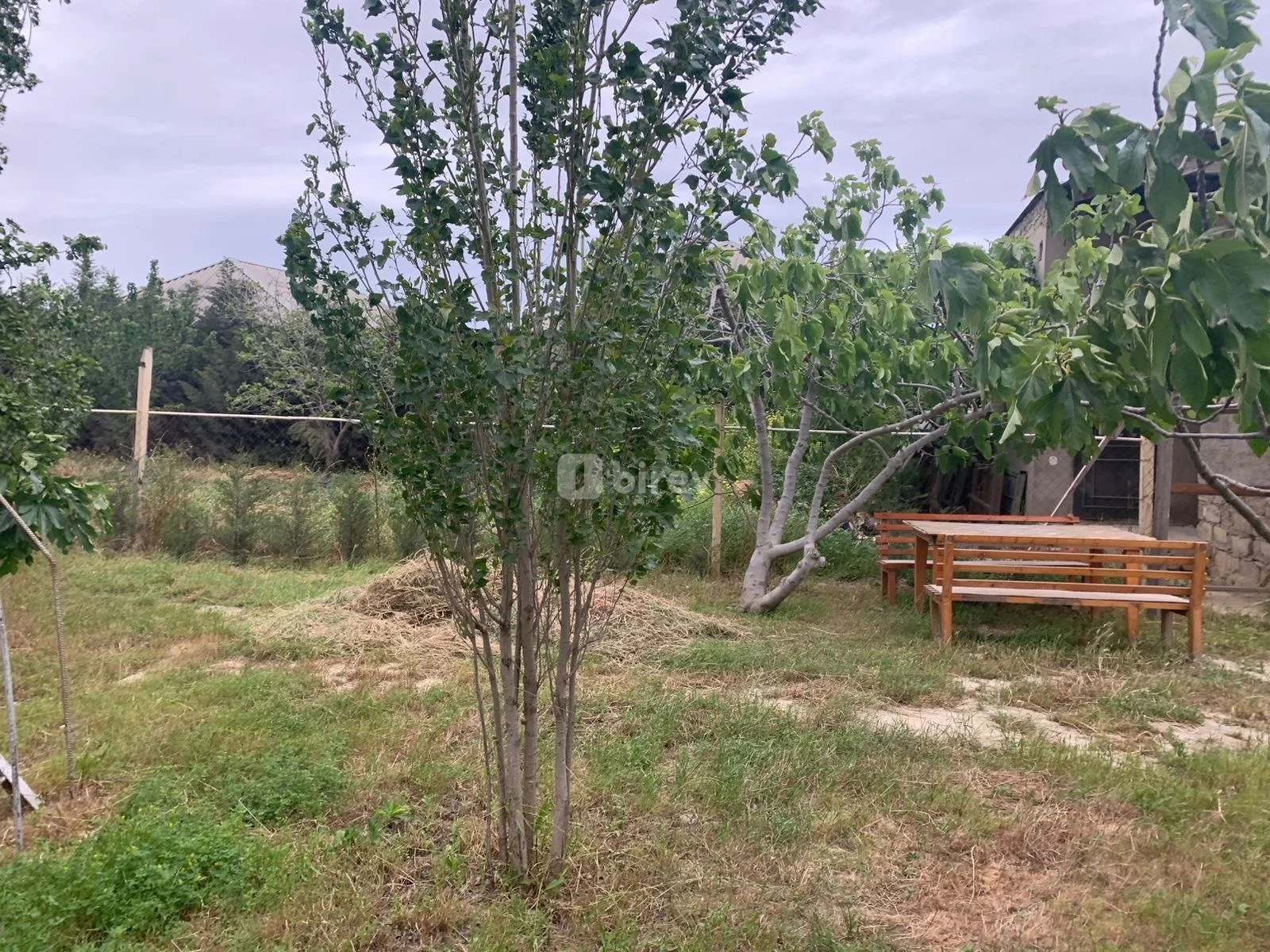4 sot torpaq, Sabunçu q., Əmir Bağırov küçəsi, Sabunçu rayonu — şəkil 4