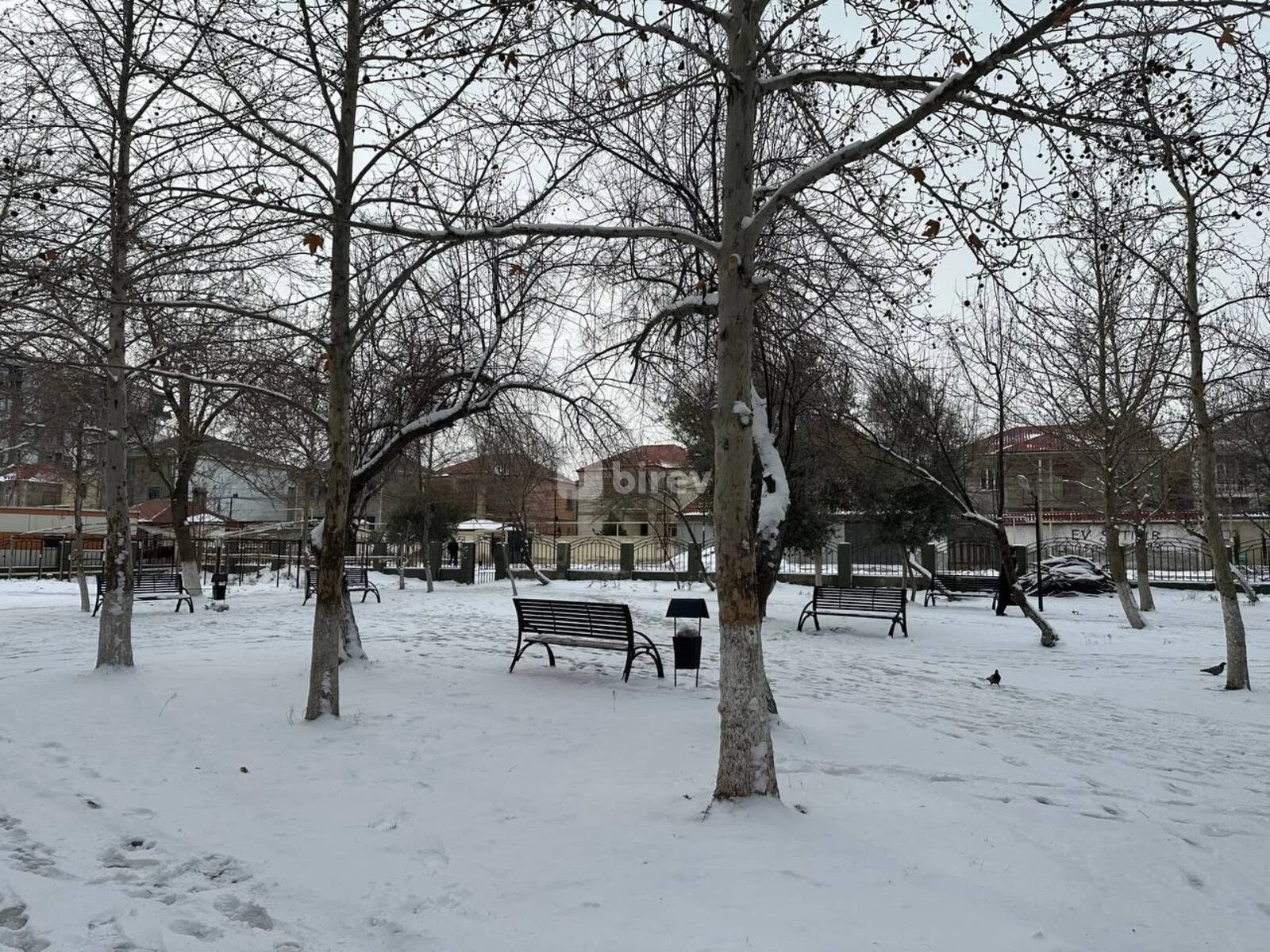 5 otaqlı həyət evi, Masazır q., İsmət Qayıbov küç., 44., Abşeron rayonu — şəkil 30