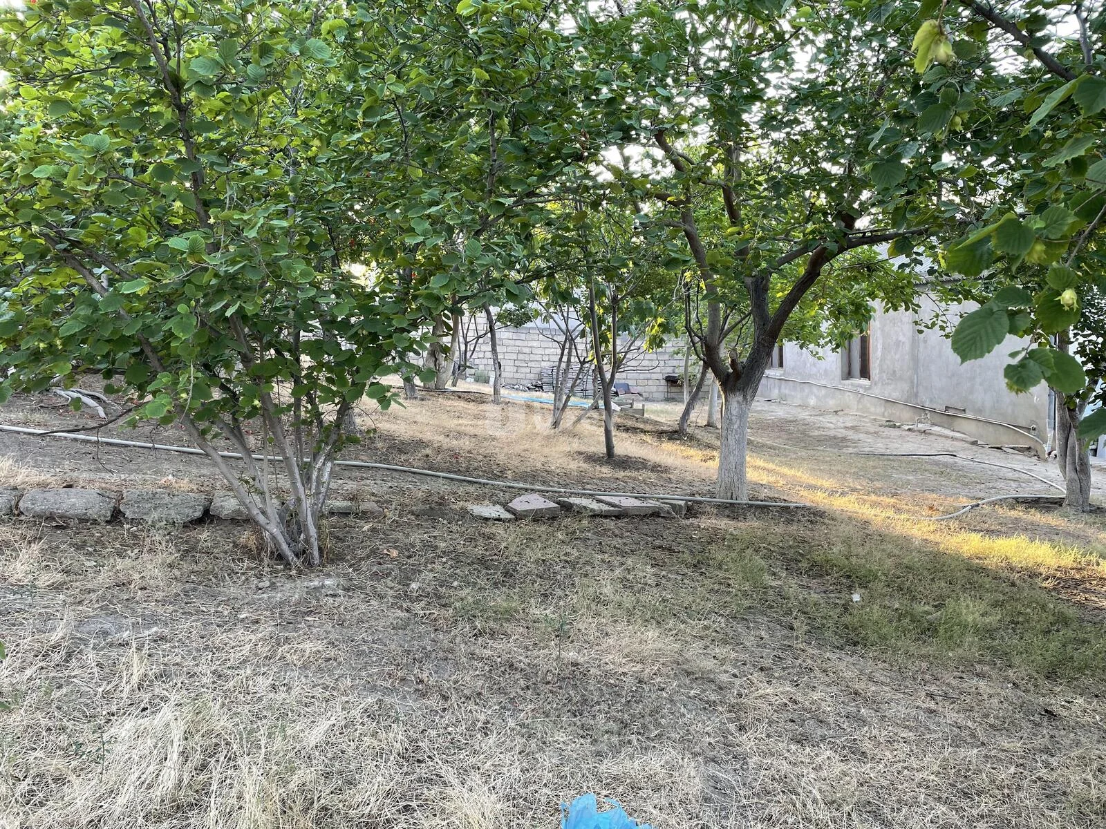 6 sot torpaq, Masazır q., Masazır Qubadlı, Abşeron rayonu — şəkil 1