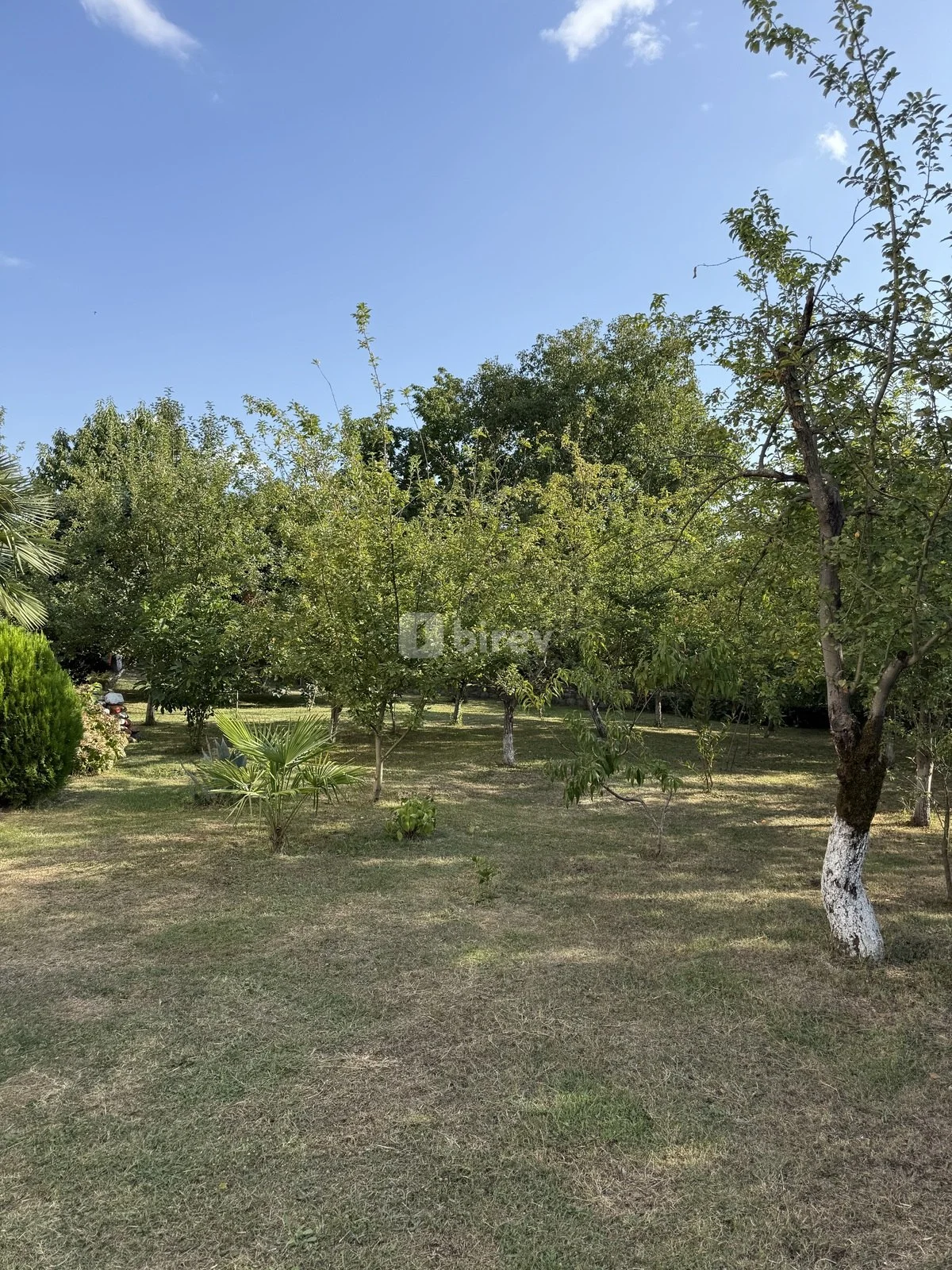 8 sot torpaq, İsmayıllı rayonu, İsmayilli rayonu — şəkil 1