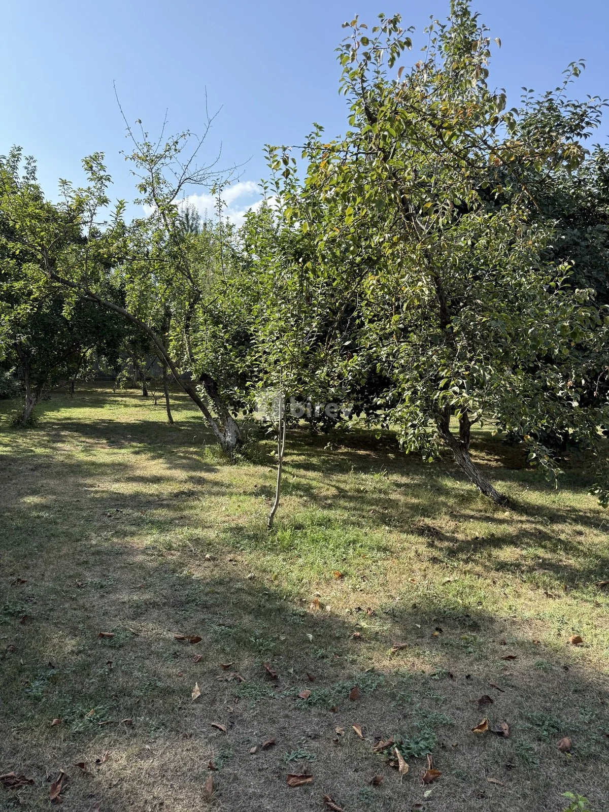 8 sot torpaq, İsmayıllı rayonu, İsmayilli rayonu — şəkil 2