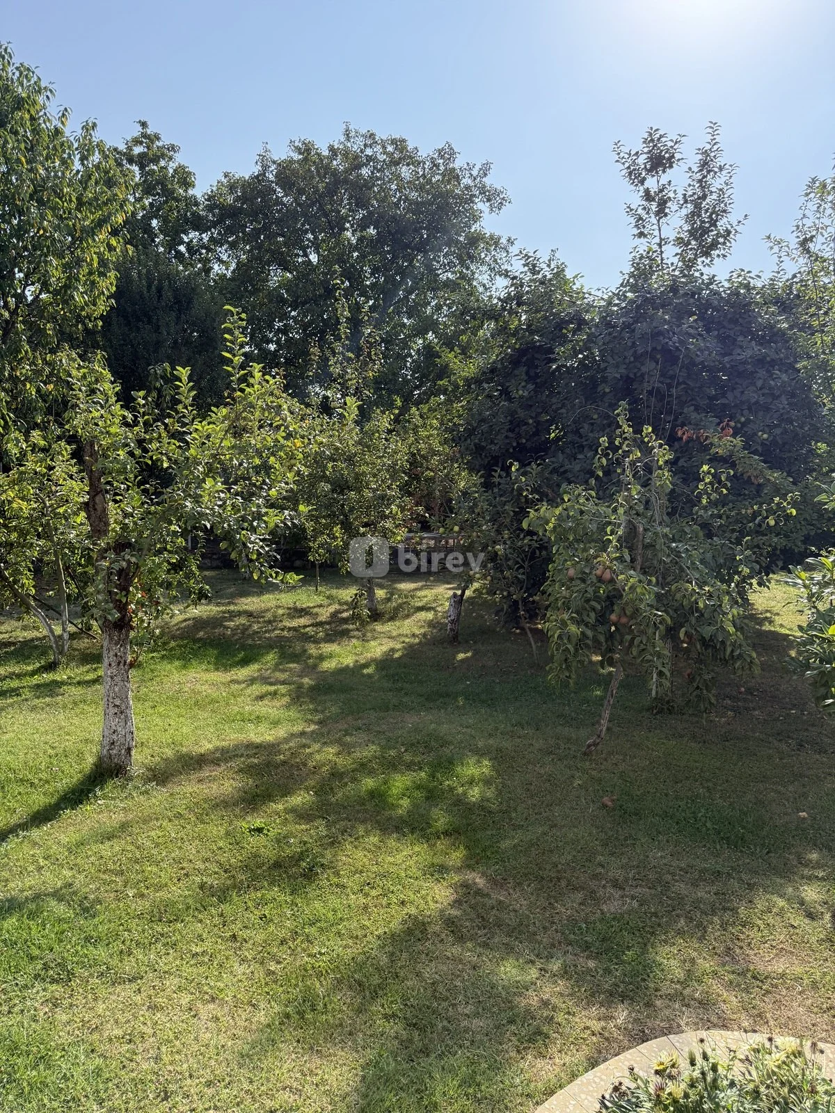8 sot torpaq, İsmayıllı rayonu, İsmayilli rayonu — şəkil 4