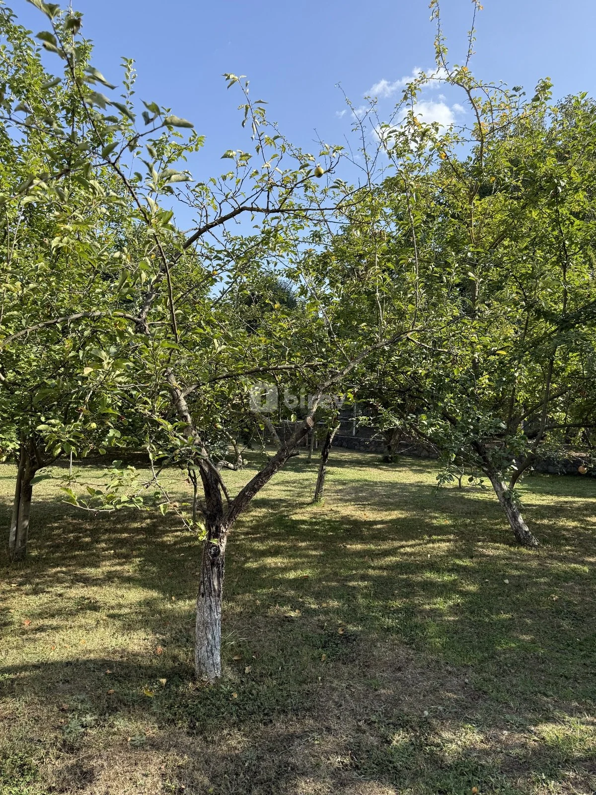 8 sot torpaq, İsmayıllı rayonu, İsmayilli rayonu — şəkil 6