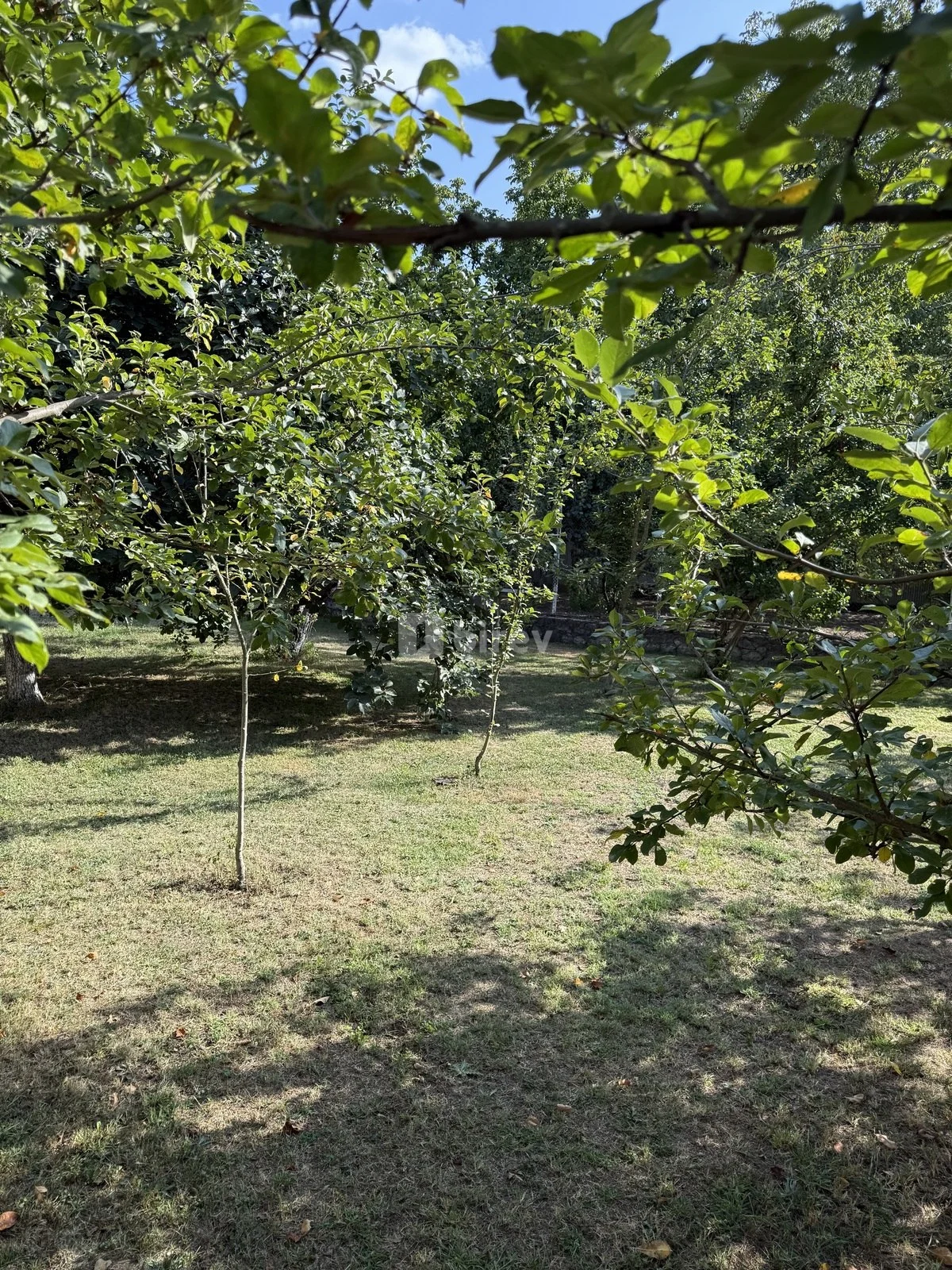 8 sot torpaq, İsmayıllı rayonu, İsmayilli rayonu — şəkil 7