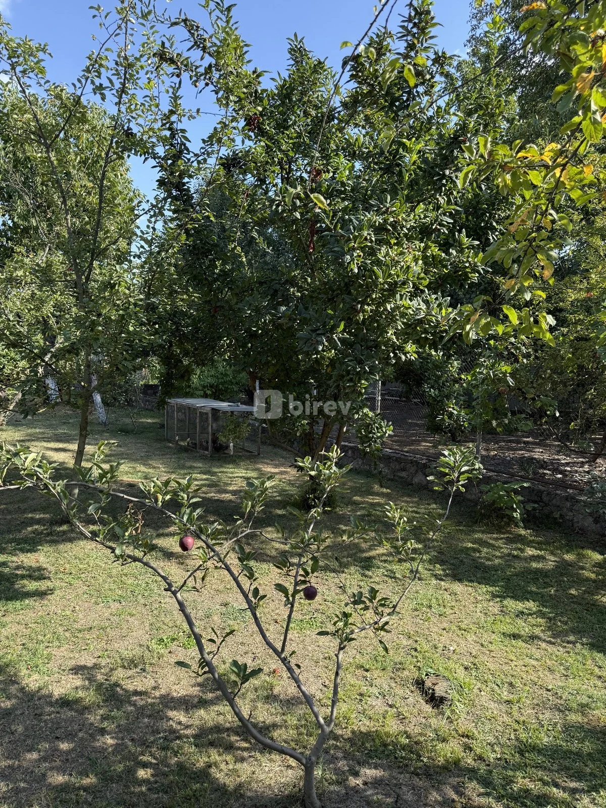 8 sot torpaq, İsmayıllı rayonu, İsmayilli rayonu — şəkil 8