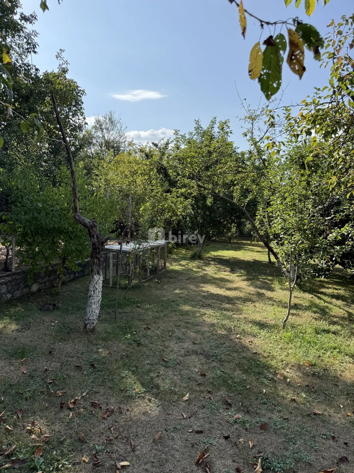 8 sot torpaq, İsmayıllı rayonu, İsmayilli rayonu — şəkil 9
