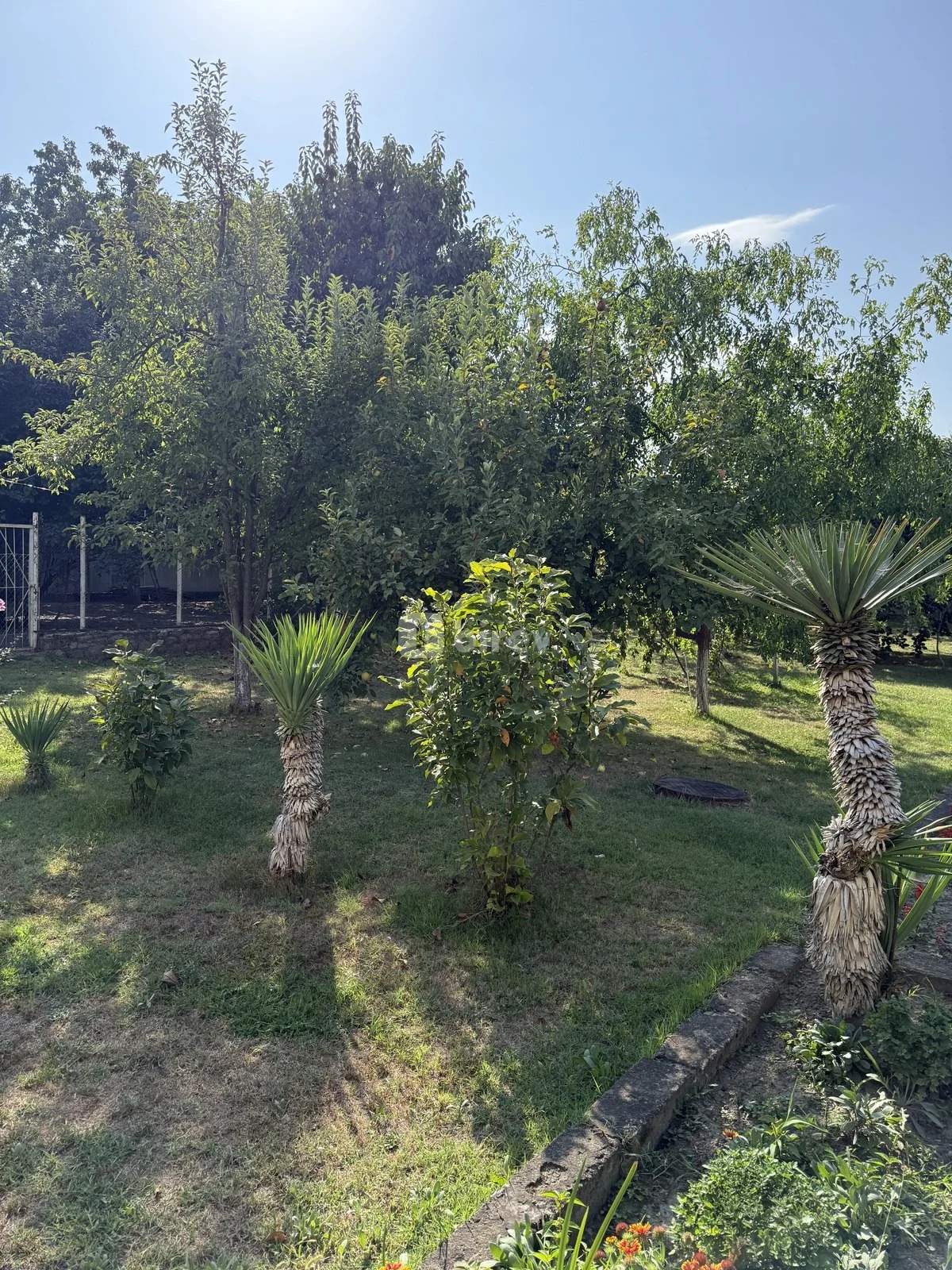 8 sot torpaq, İsmayıllı rayonu, İsmayilli rayonu — şəkil 10
