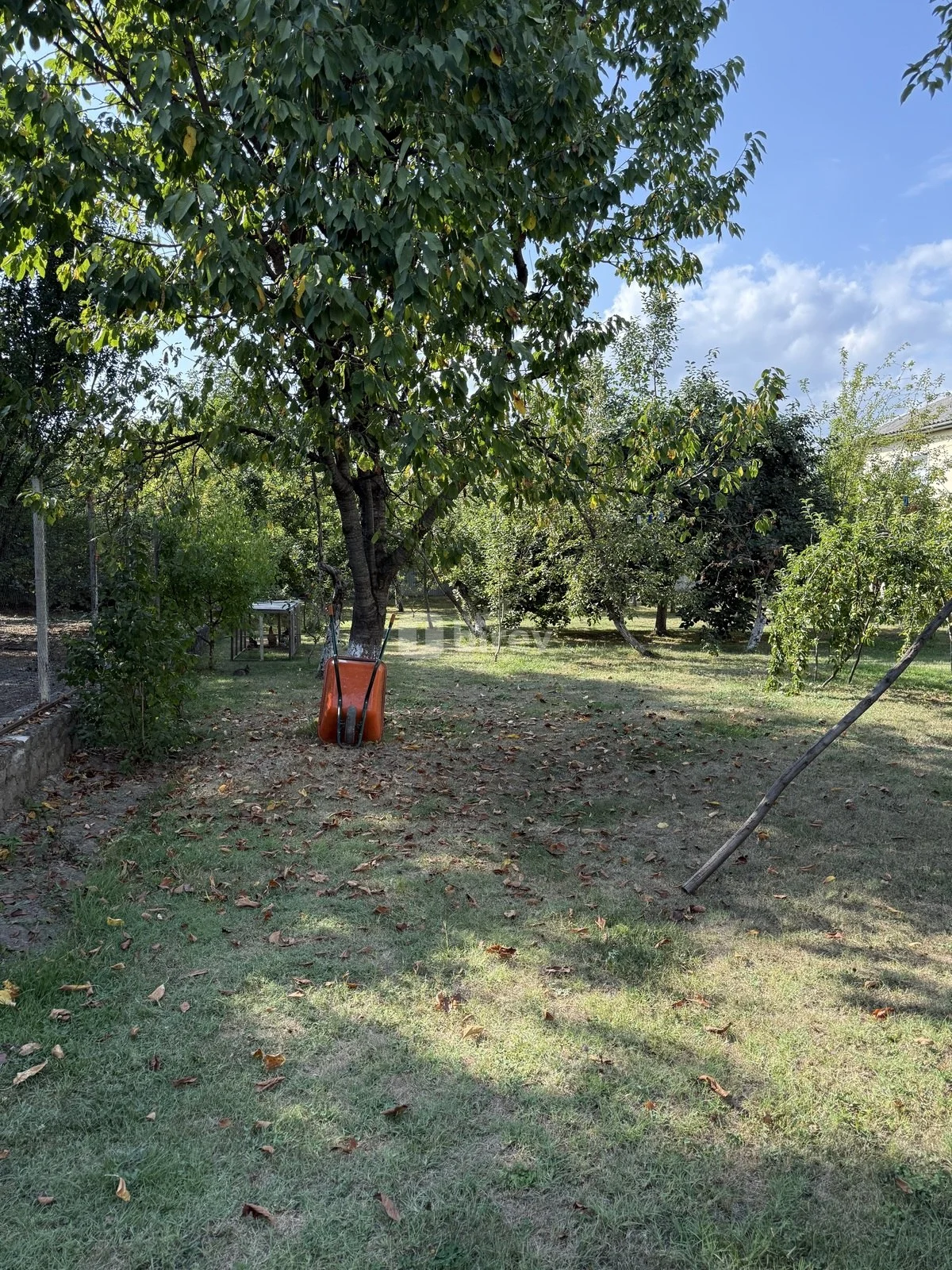 8 sot torpaq, İsmayıllı rayonu, İsmayilli rayonu — şəkil 11