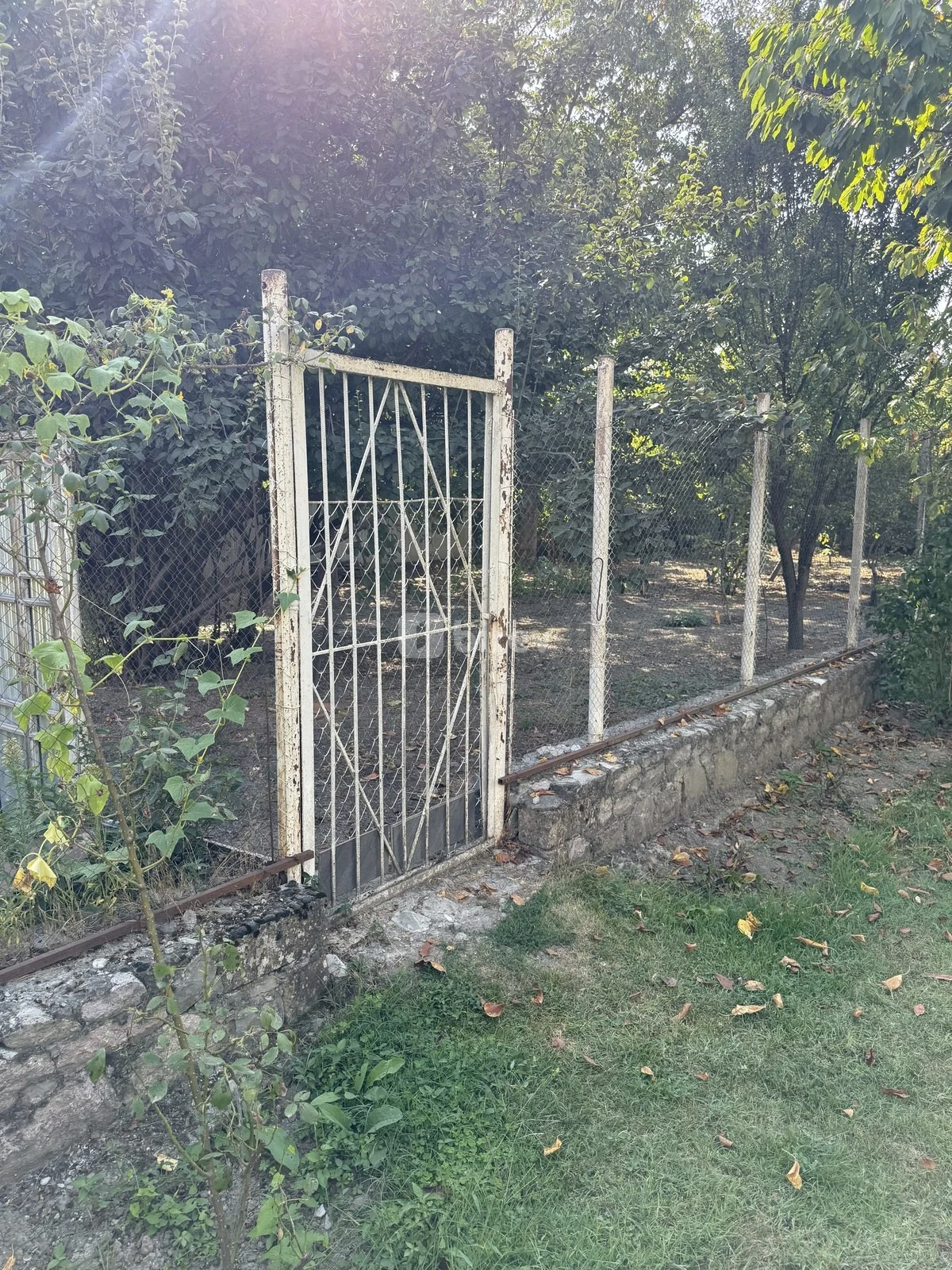 8 sot torpaq, İsmayıllı rayonu, İsmayilli rayonu — şəkil 12