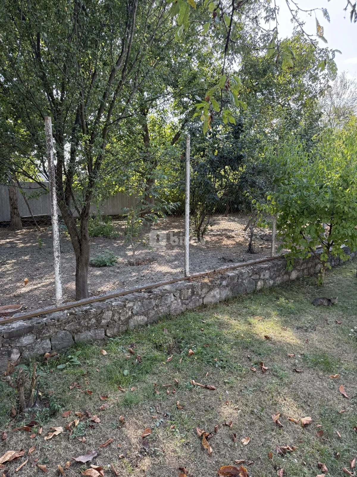 8 sot torpaq, İsmayıllı rayonu, İsmayilli rayonu — şəkil 13