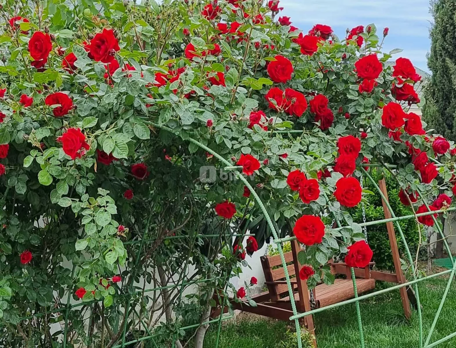 4 otaqlı həyət evi, Yeni Ramana q., Mərkəzi Küçə 85H, Sabunçu rayonu — şəkil 24