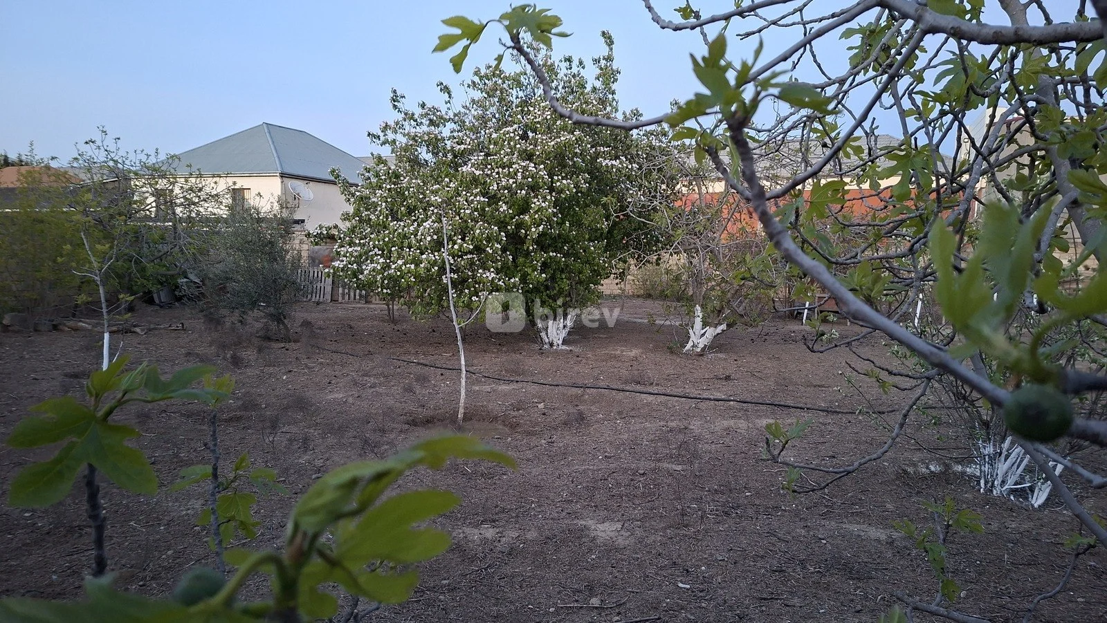 6 sot torpaq, Novxanı q., Heydər Əliyev prospekti, Abşeron rayonu — şəkil 3