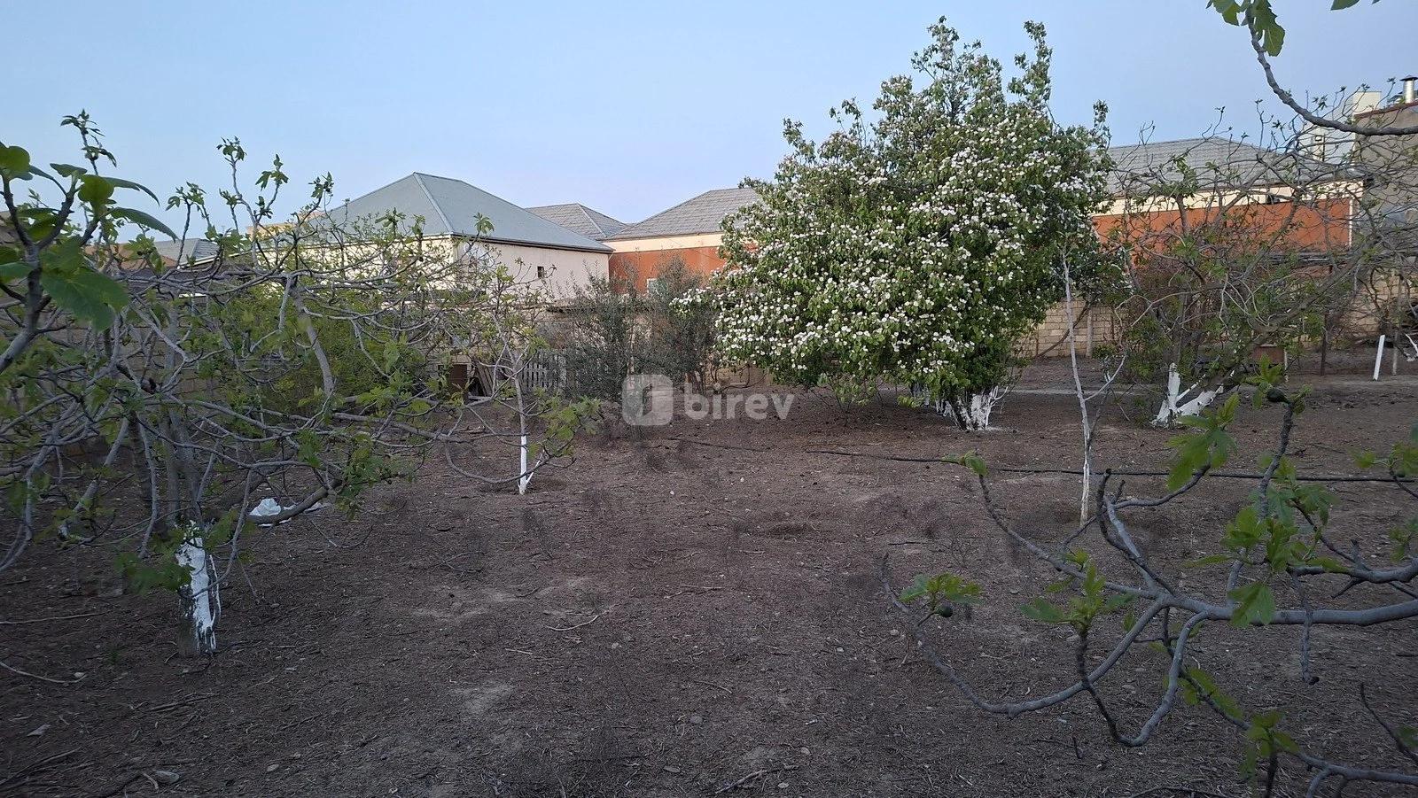 6 sot torpaq, Novxanı q., Heydər Əliyev prospekti, Abşeron rayonu — şəkil 4