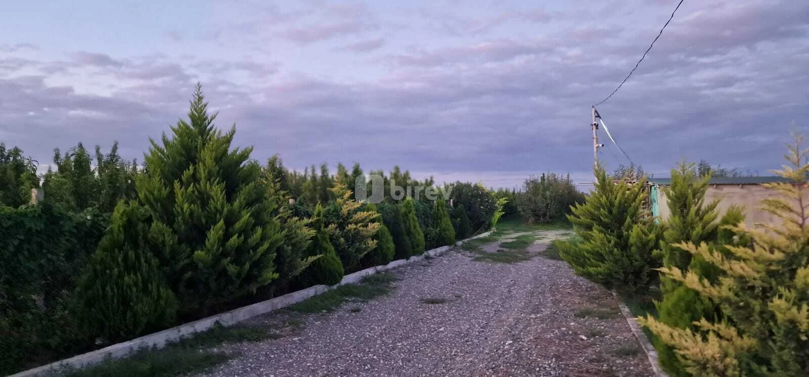 1100 sot torpaq, Xaçmaz rayonu, Çaxmaxlı kəndi — şəkil 5