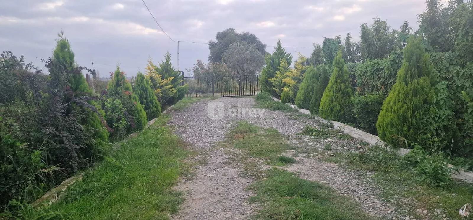 1100 sot torpaq, Xaçmaz rayonu, Çaxmaxlı kəndi — şəkil 6