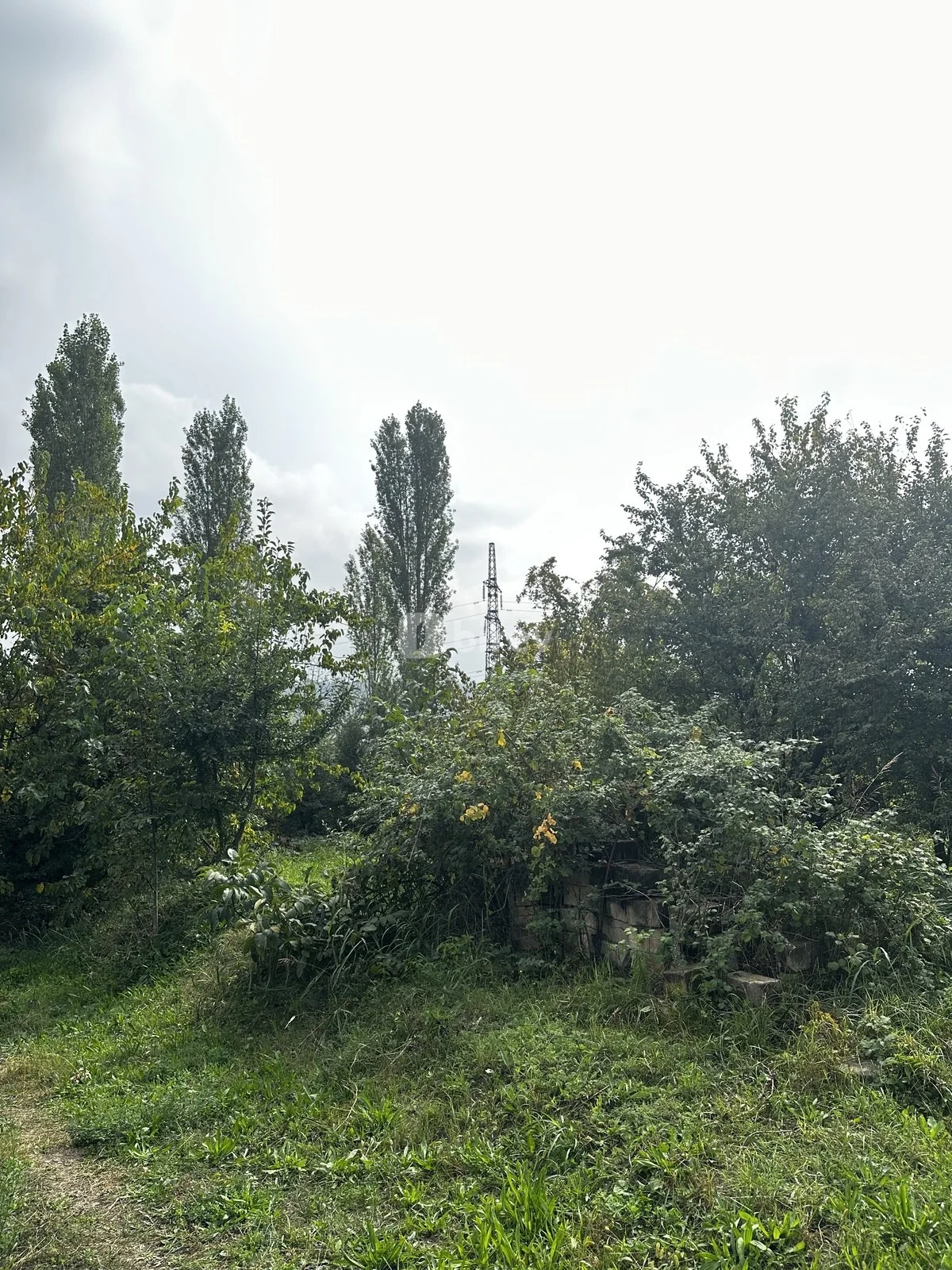 31 sot torpaq, Gəncə şəhəri, Bayan küçəsi — şəkil 3