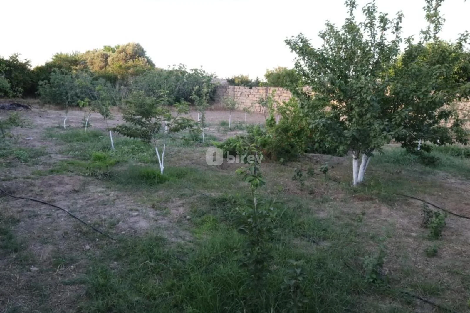 2 sot torpaq, Maştağa q., M.Ə Sabir küç ev 74, Sabunçu rayonu — şəkil 2