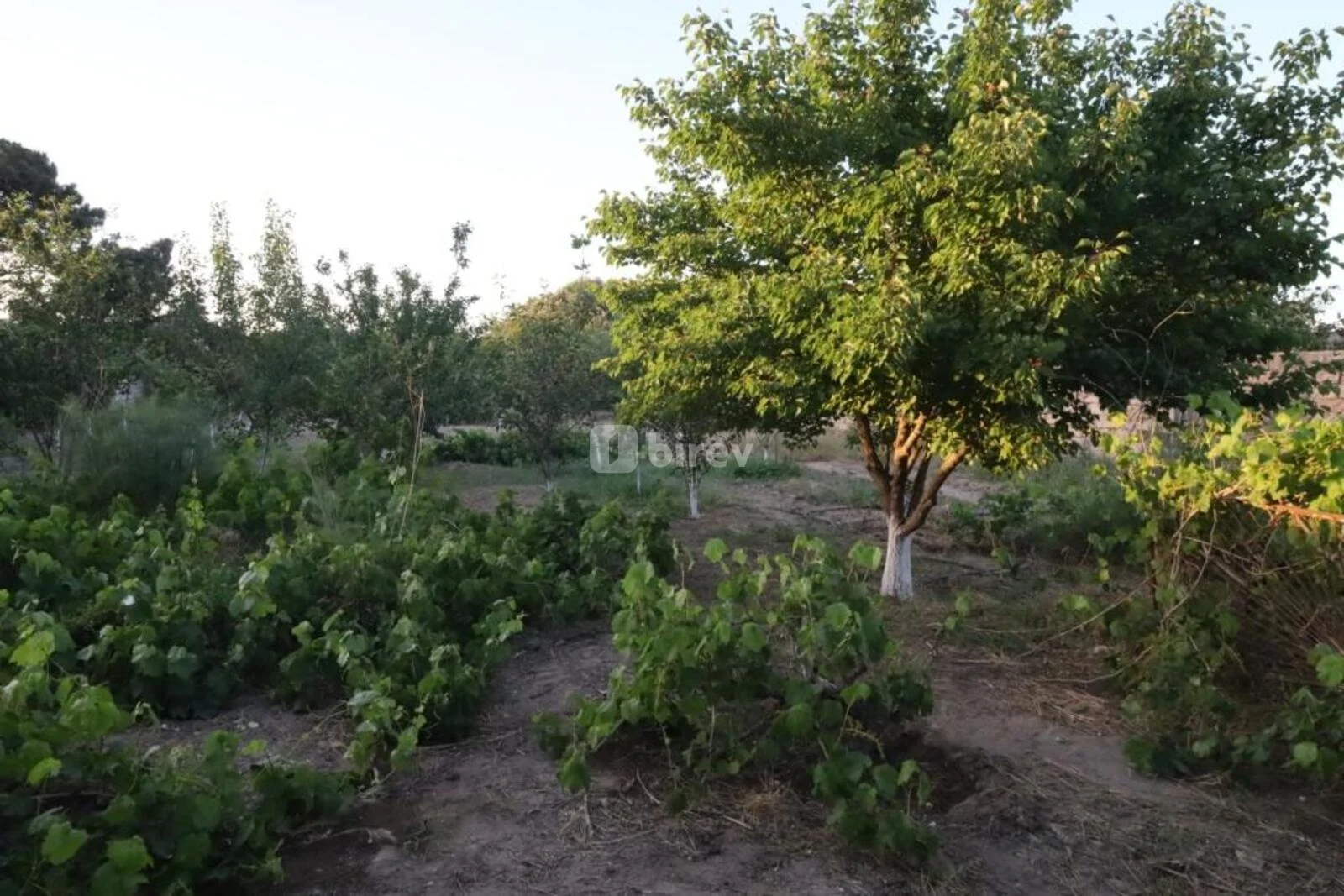 2 sot torpaq, Maştağa q., M.Ə Sabir küç ev 74, Sabunçu rayonu — şəkil 3