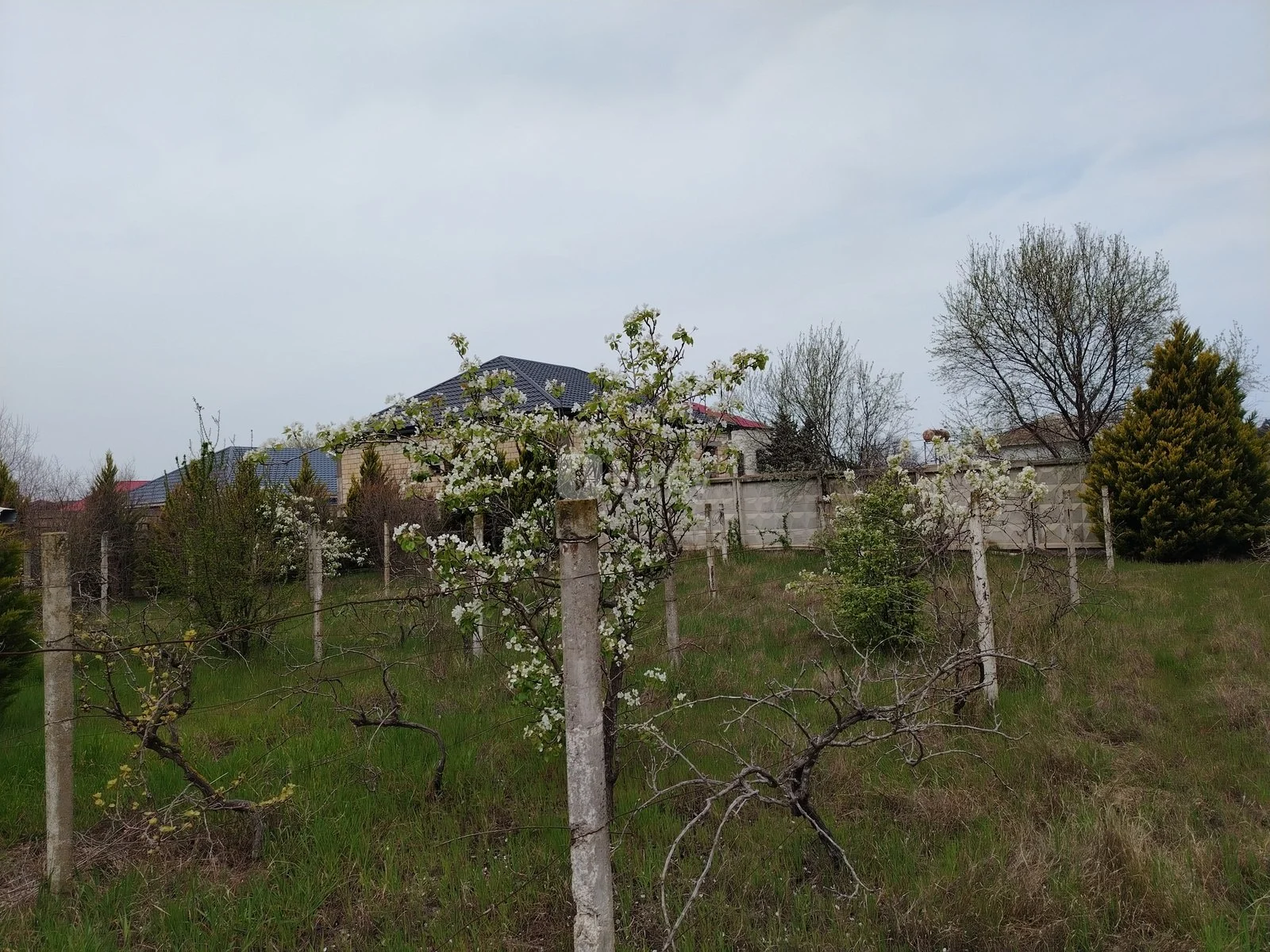 15 sot torpaq, Pirşağı q., Pirşağı qəs., Sabunçu rayonu — şəkil 4
