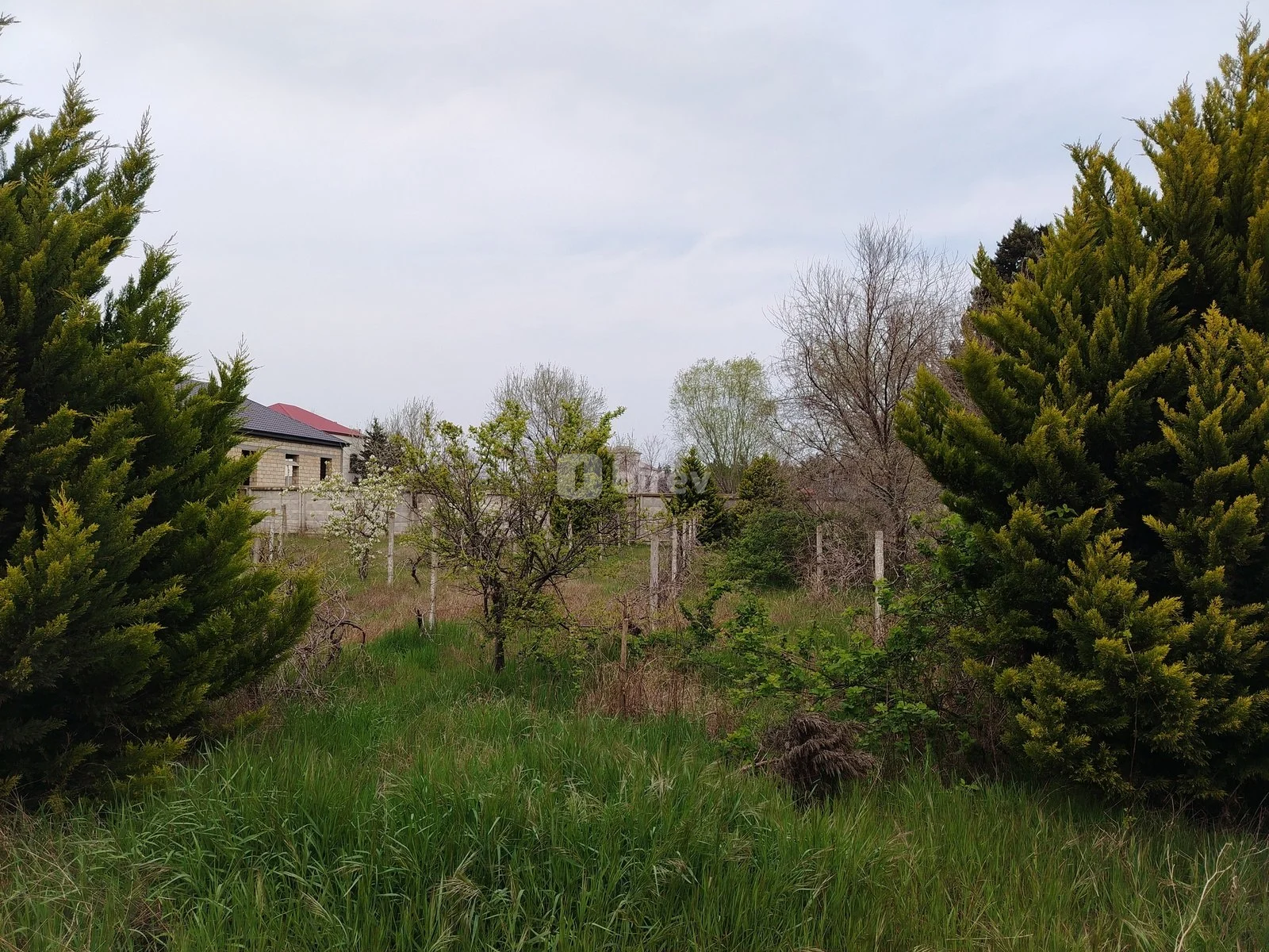 15 sot torpaq, Pirşağı q., Pirşağı qəs., Sabunçu rayonu — şəkil 5