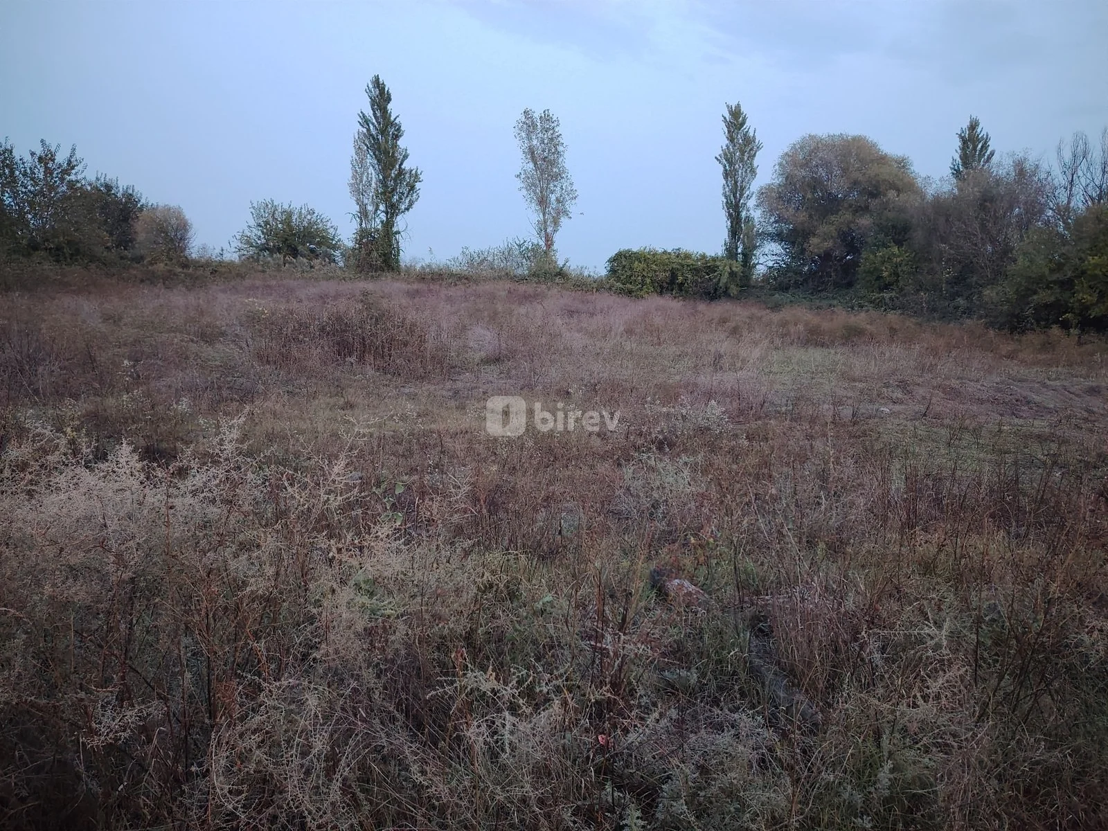 30 sot torpaq, Sabirabad rayonu, Çığırğan — şəkil 5