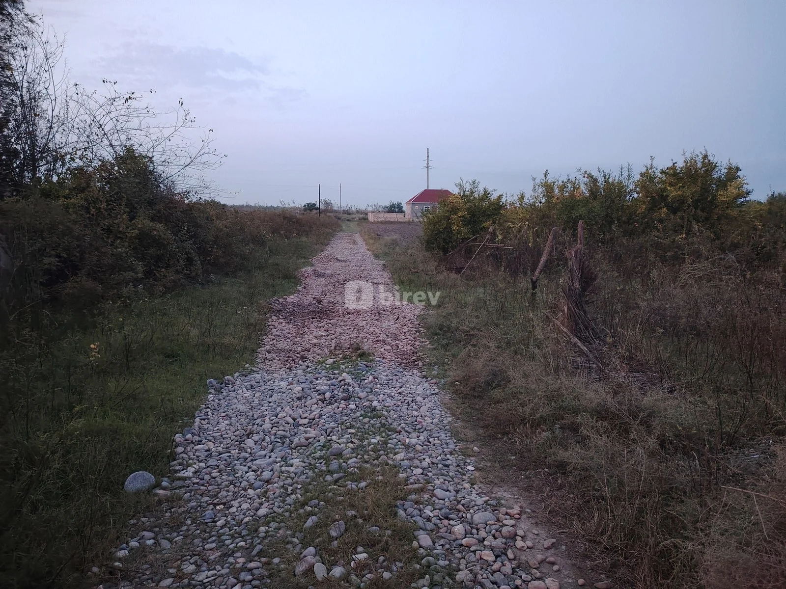 30 sot torpaq, Sabirabad rayonu, Çığırğan — şəkil 6
