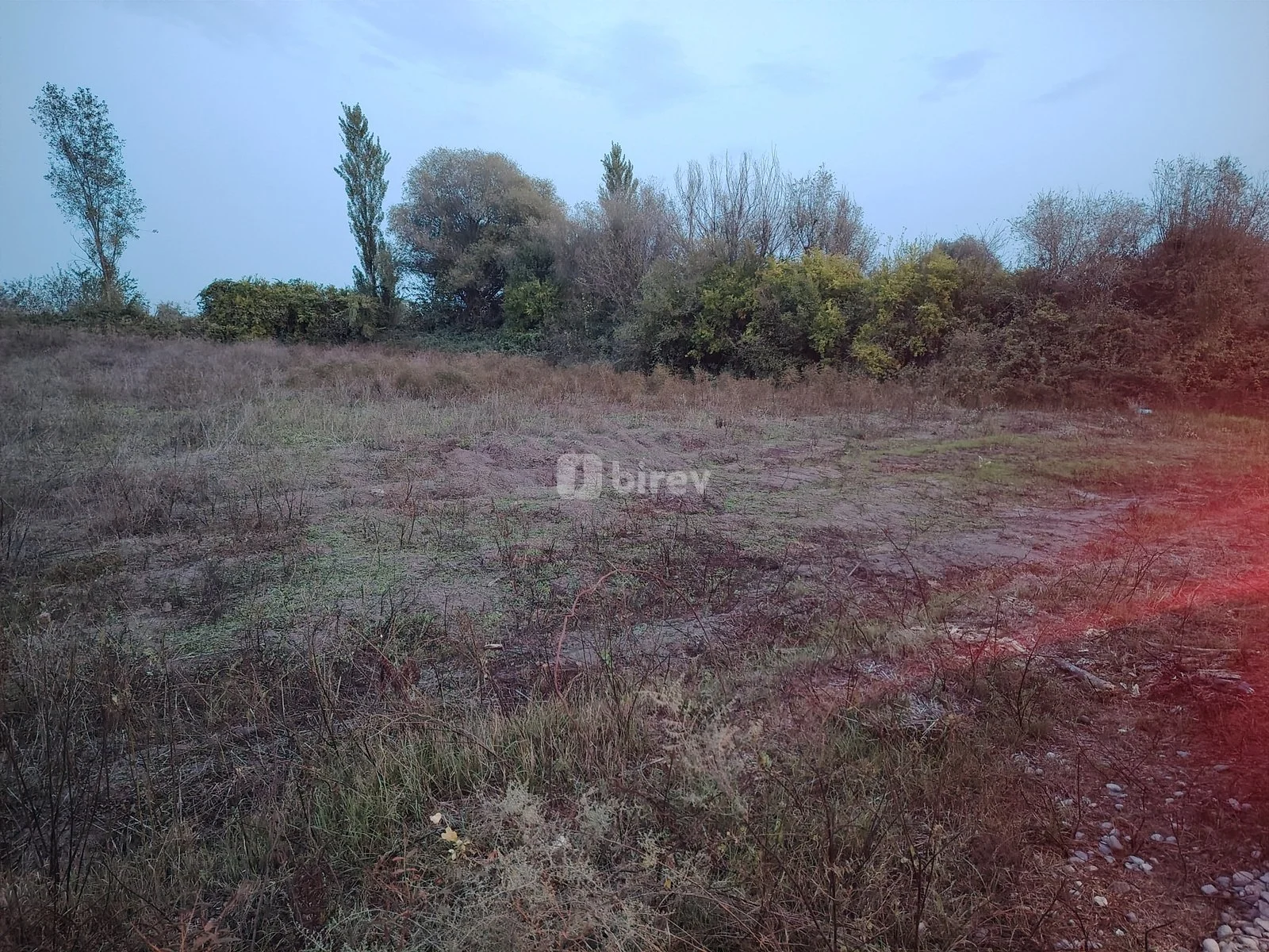 30 sot torpaq, Sabirabad rayonu, Çığırğan — şəkil 7