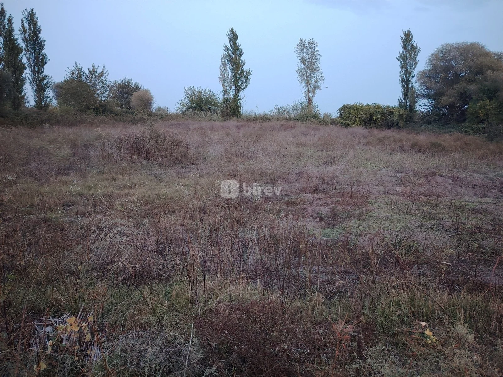 30 sot torpaq, Sabirabad rayonu, Çığırğan — şəkil 8