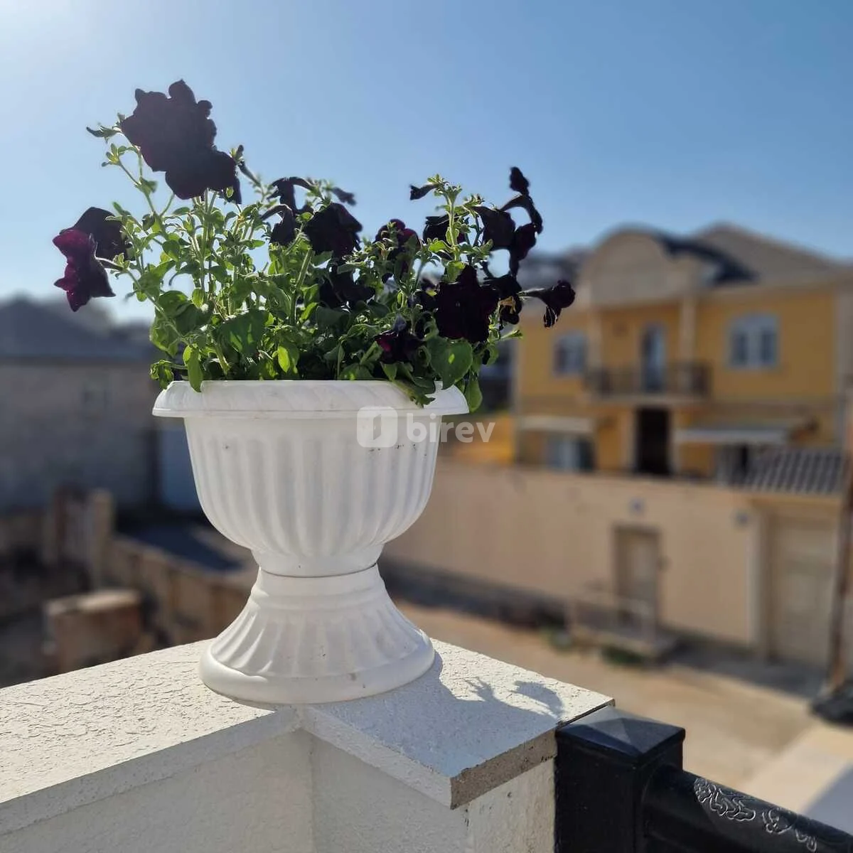 6 otaqlı həyət evi, Badamdar q., Badamdar 3 cü massıv, Səbail rayonu — şəkil 12