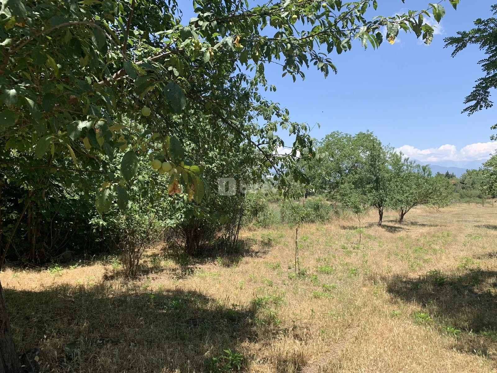 4 otaqlı həyət evi, İvanovka, Ivanovka kəndi, İsmayıllı rayonu — şəkil 3