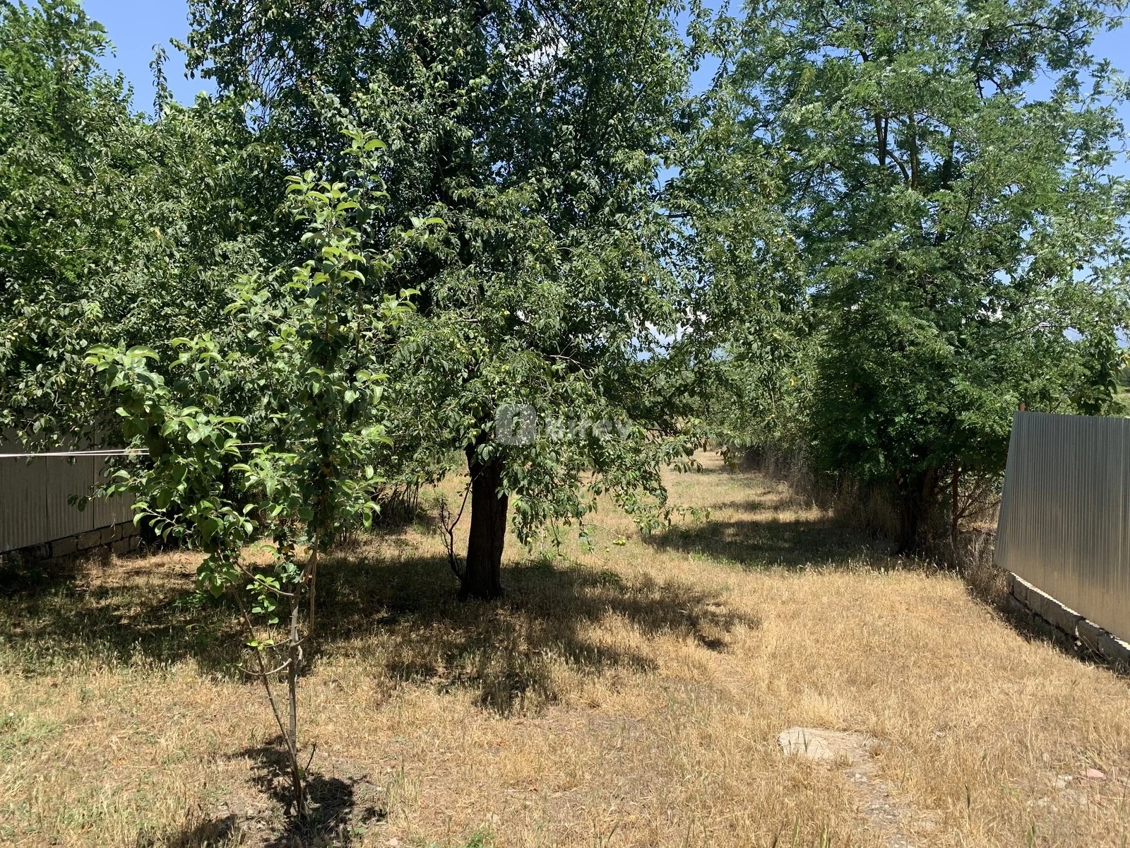 4 otaqlı həyət evi, İvanovka, Ivanovka kəndi, İsmayıllı rayonu — şəkil 4