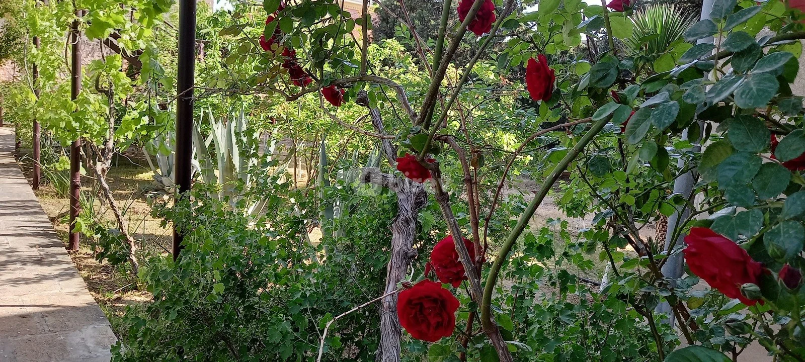 5 otaqlı həyət evi, Mərdəkan q., Mərdəkan qəs, Xəzər rayonu — şəkil 14
