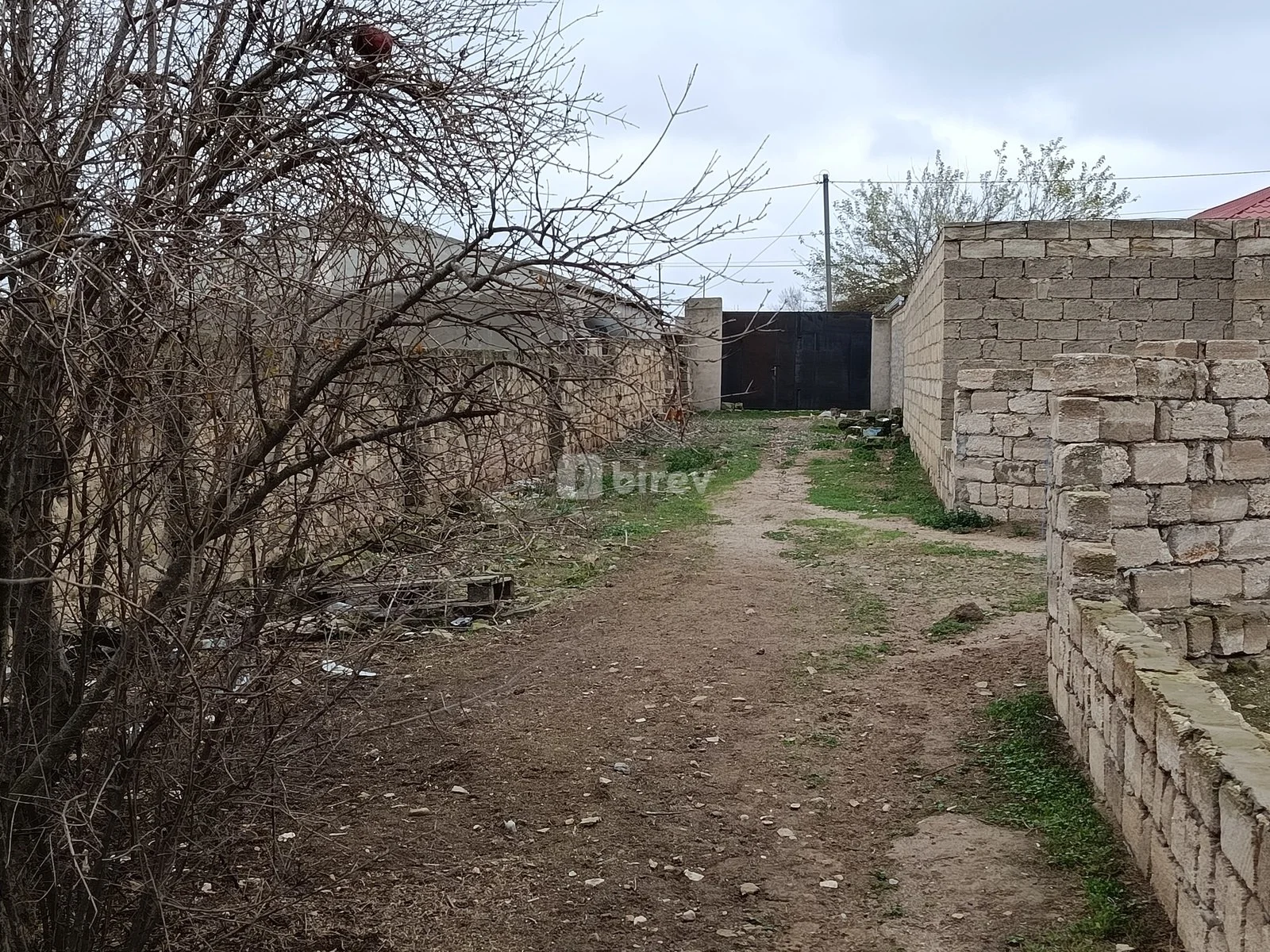 7 sot torpaq, Məmmədli q., Məmmədli qəs., Abşeron rayonu — şəkil 3
