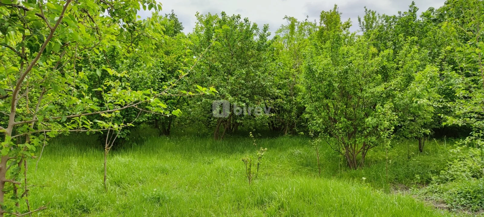 19 sot torpaq, Ağdaş rayonu, Ağdaş rayonu., Ağdaş rayonu — şəkil 1