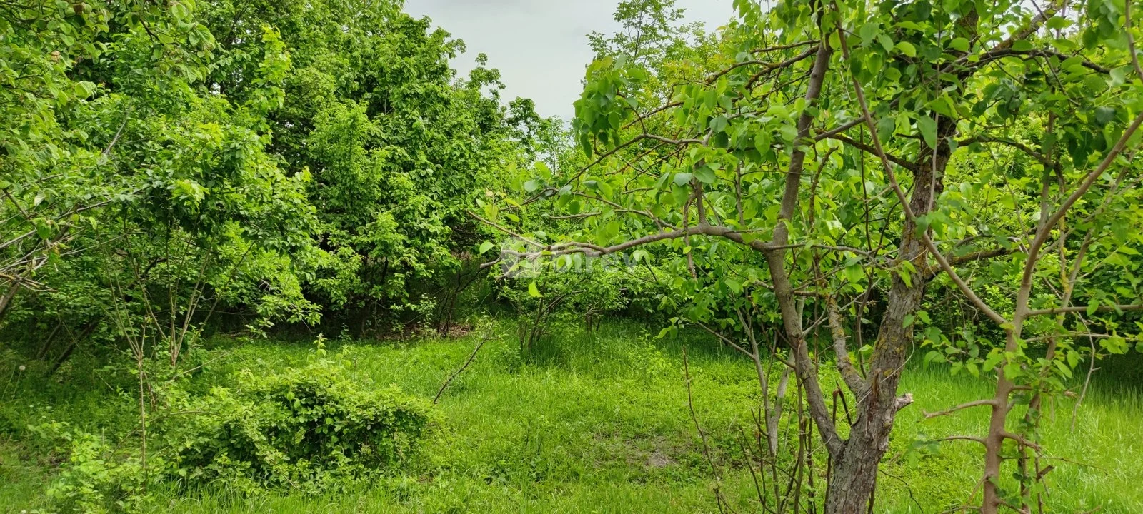 19 sot torpaq, Ağdaş rayonu, Ağdaş rayonu., Ağdaş rayonu — şəkil 2