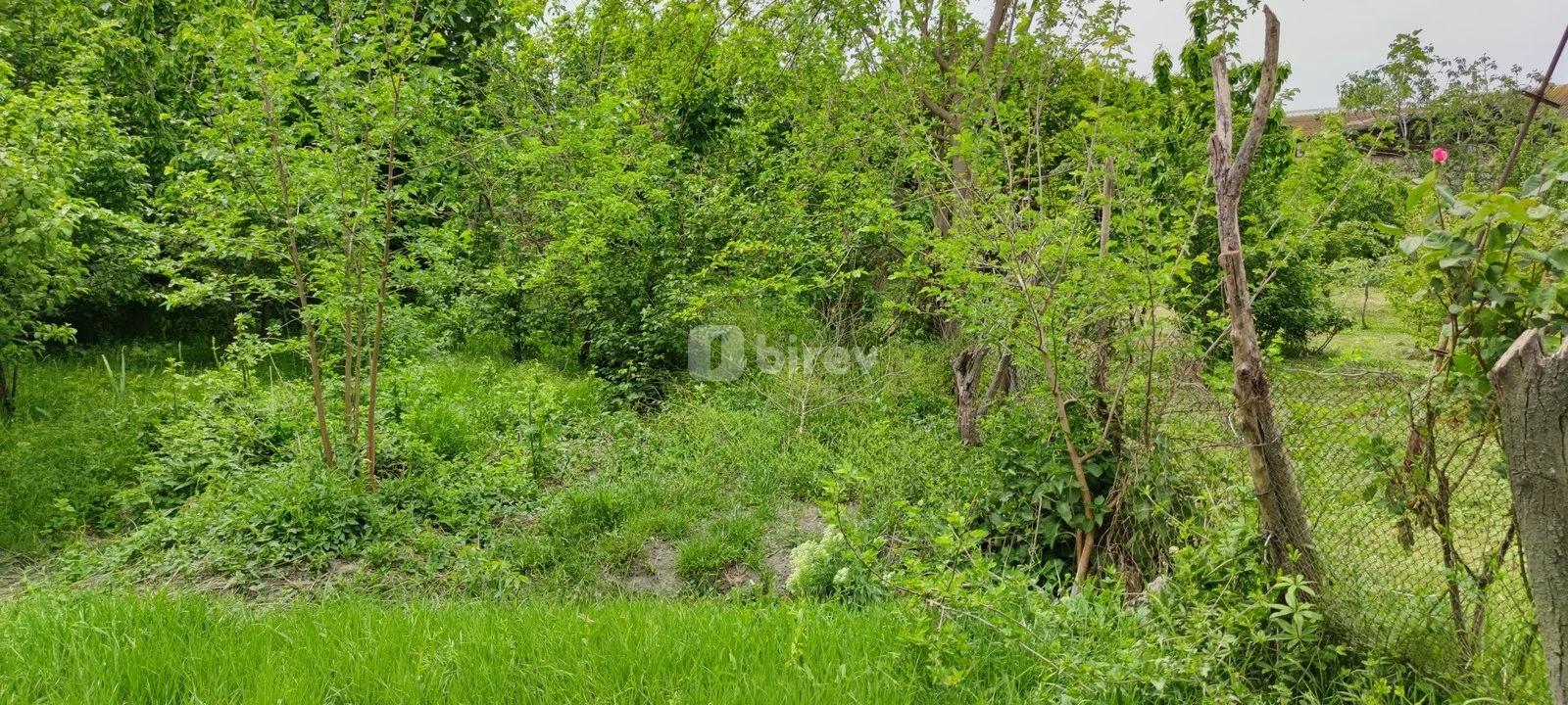 19 sot torpaq, Ağdaş rayonu, Ağdaş rayonu., Ağdaş rayonu — şəkil 3