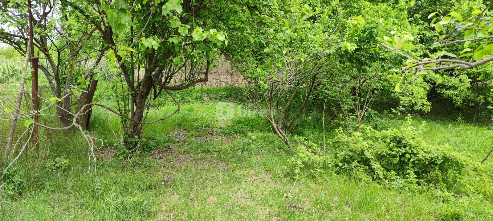 19 sot torpaq, Ağdaş rayonu, Ağdaş rayonu., Ağdaş rayonu — şəkil 4