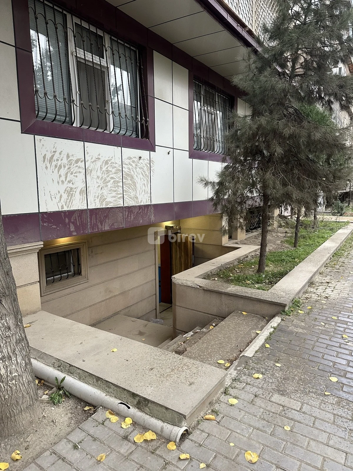 Obyekt, Nərimanov rayonu, Əliyar Əliyev küç., Bakı şəhəri — şəkil 2
