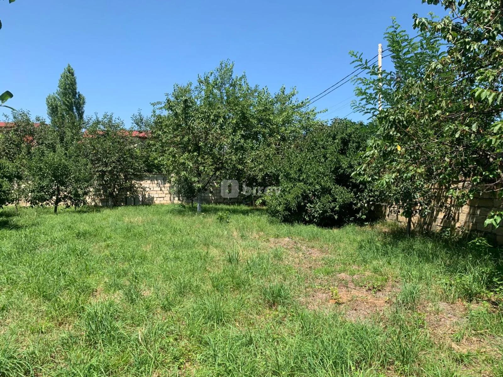 5 sot torpaq, Quba rayonu, Xan Şuşınski küçəsi, Quba rayonu — şəkil 10