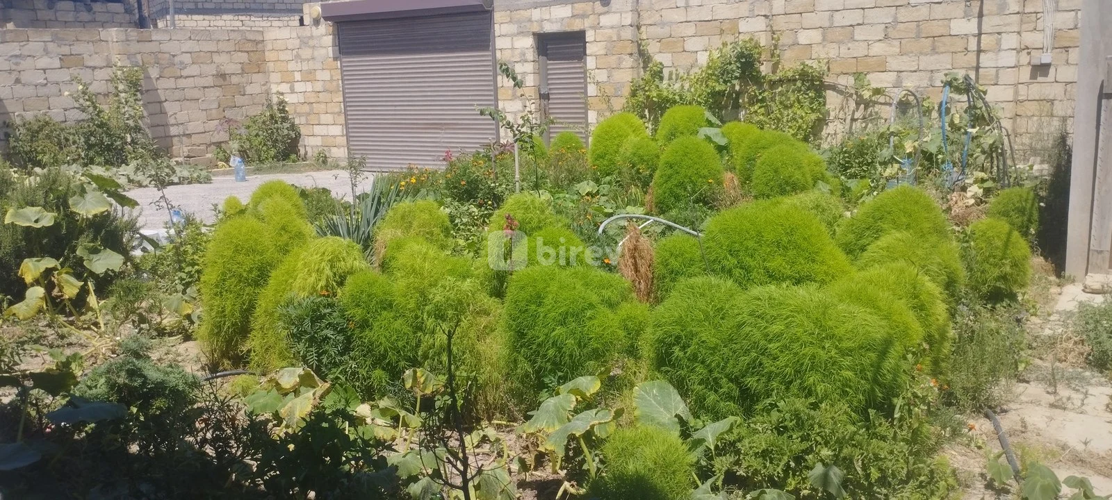 4 otaqlı həyət evi, Sumqayıt şəhəri, Saray qəs. — şəkil 2