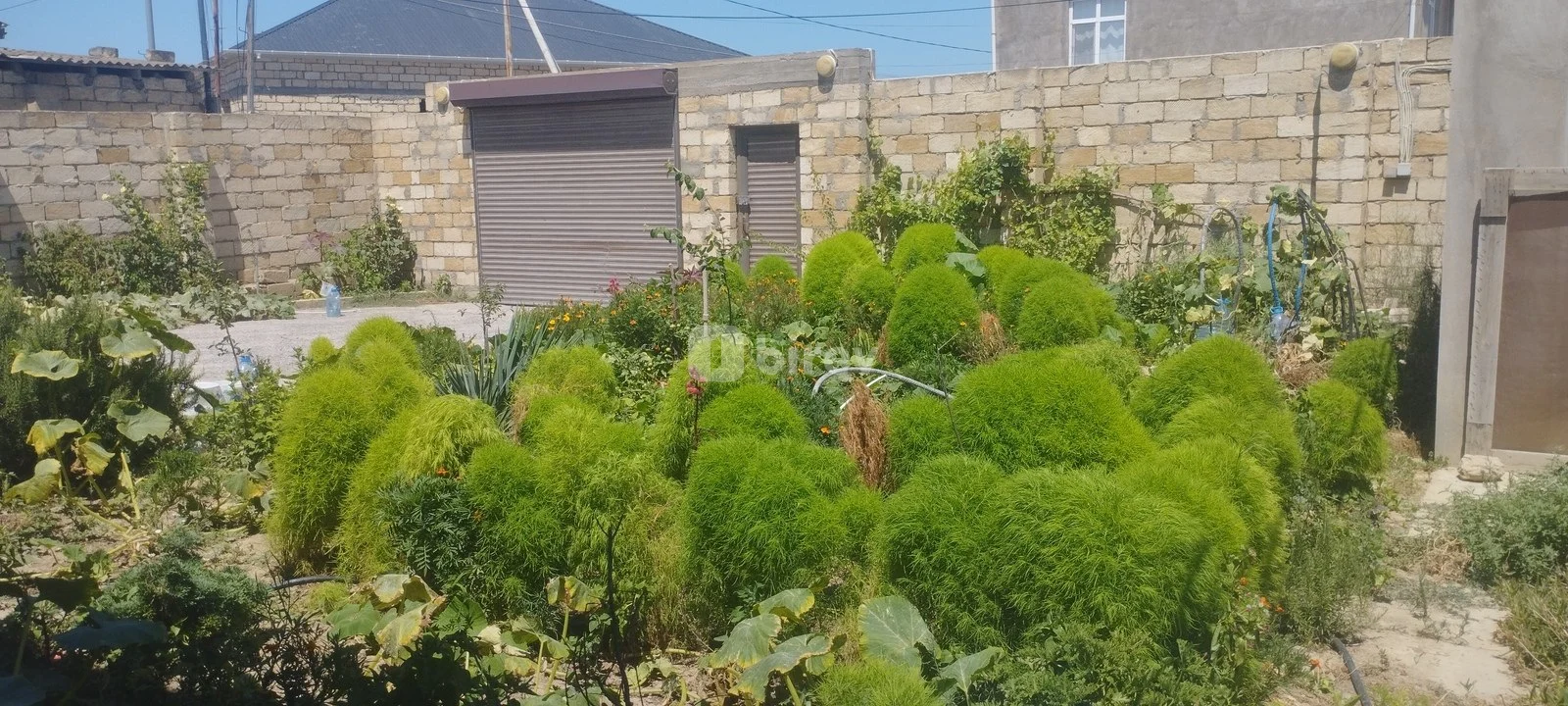 4 otaqlı həyət evi, Sumqayıt şəhəri, Saray qəs. — şəkil 3