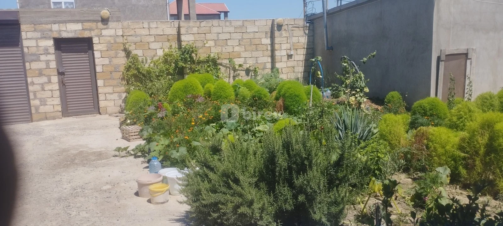 4 otaqlı həyət evi, Sumqayıt şəhəri, Saray qəs. — şəkil 5