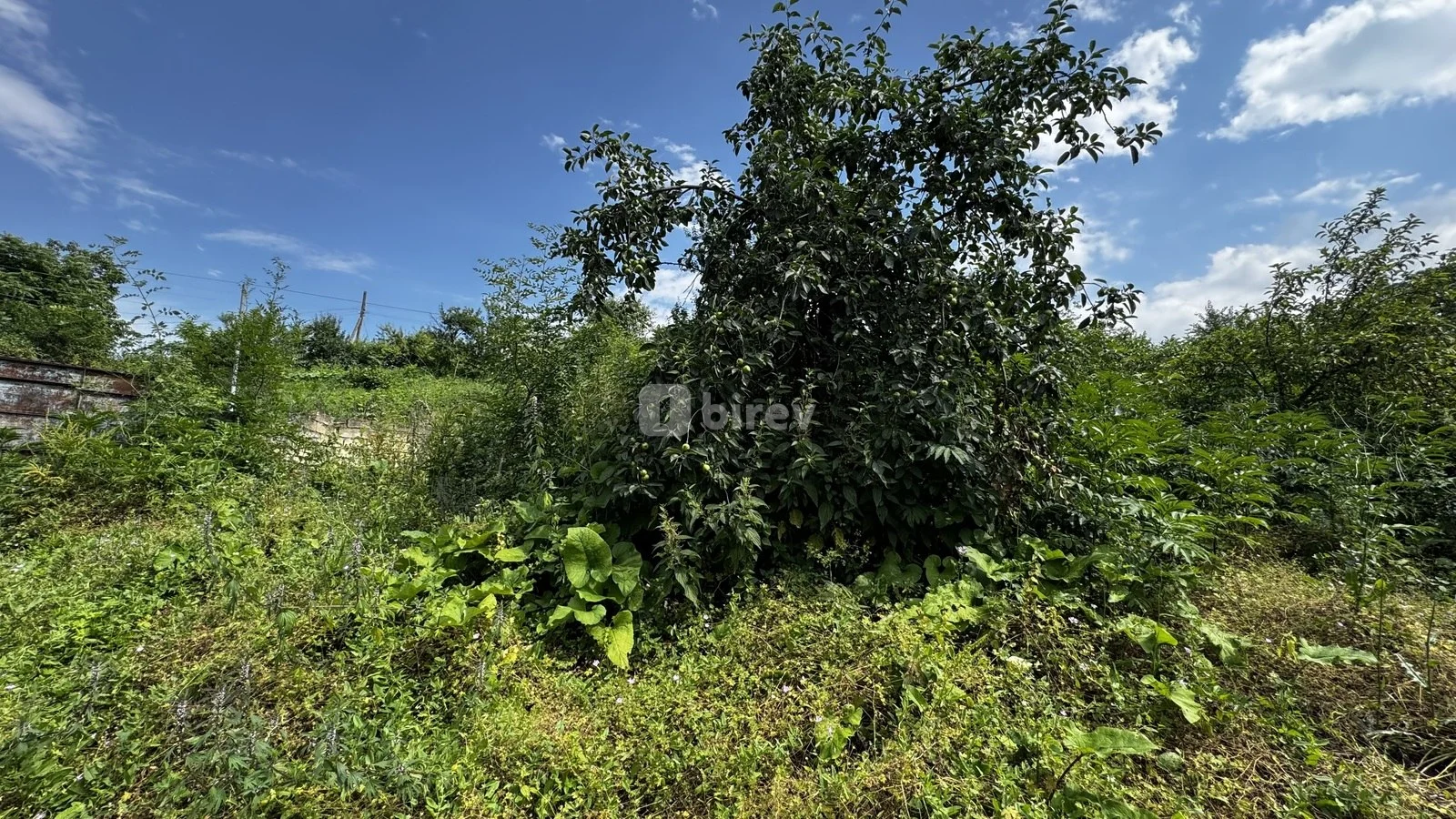3 otaqlı həyət evi, Qusar rayonu, Qusar rayonu — şəkil 6