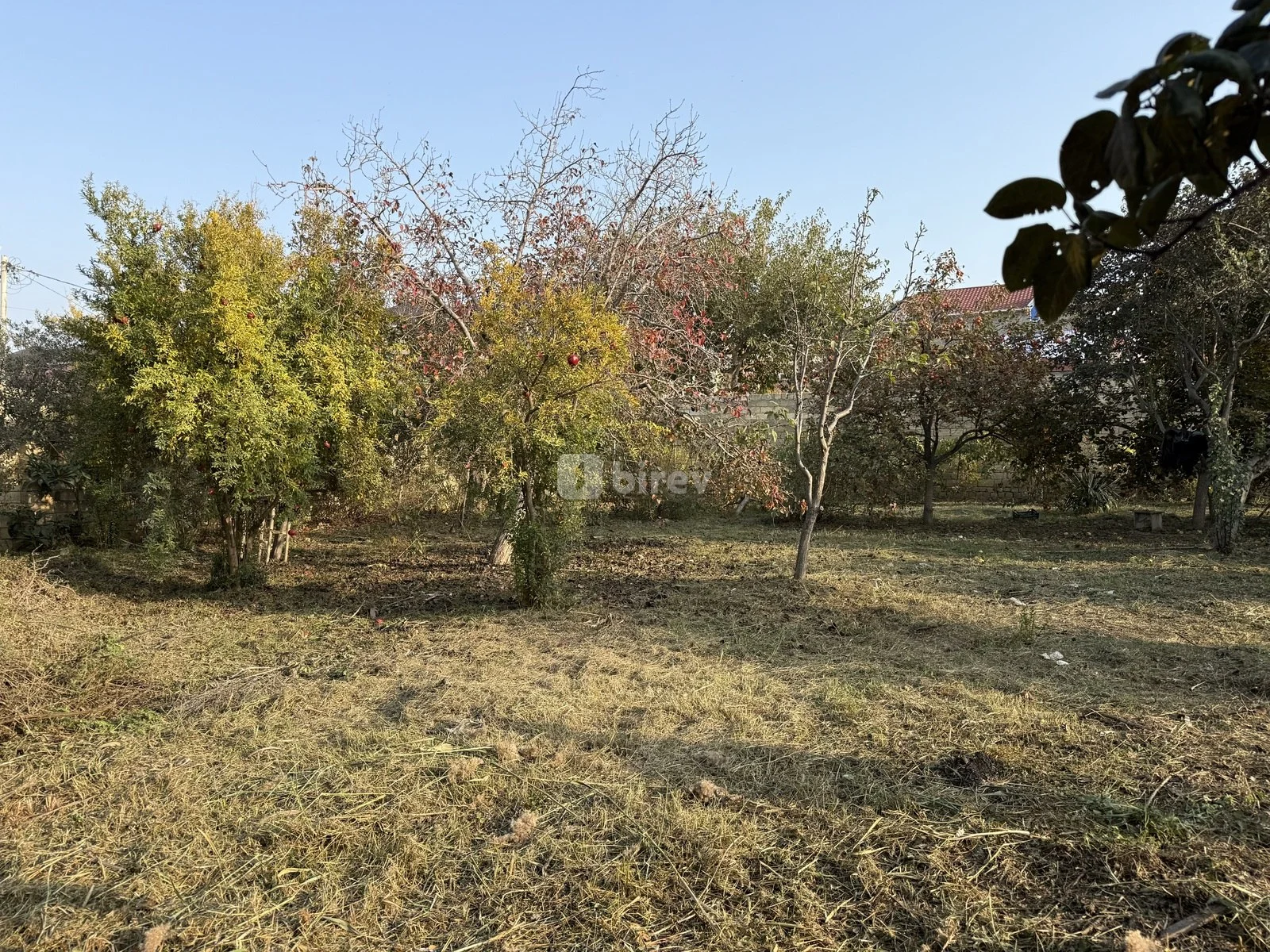 10 sot torpaq, Xırdalan q., Asef zeynalli kucesi, Abşeron rayonu — şəkil 2